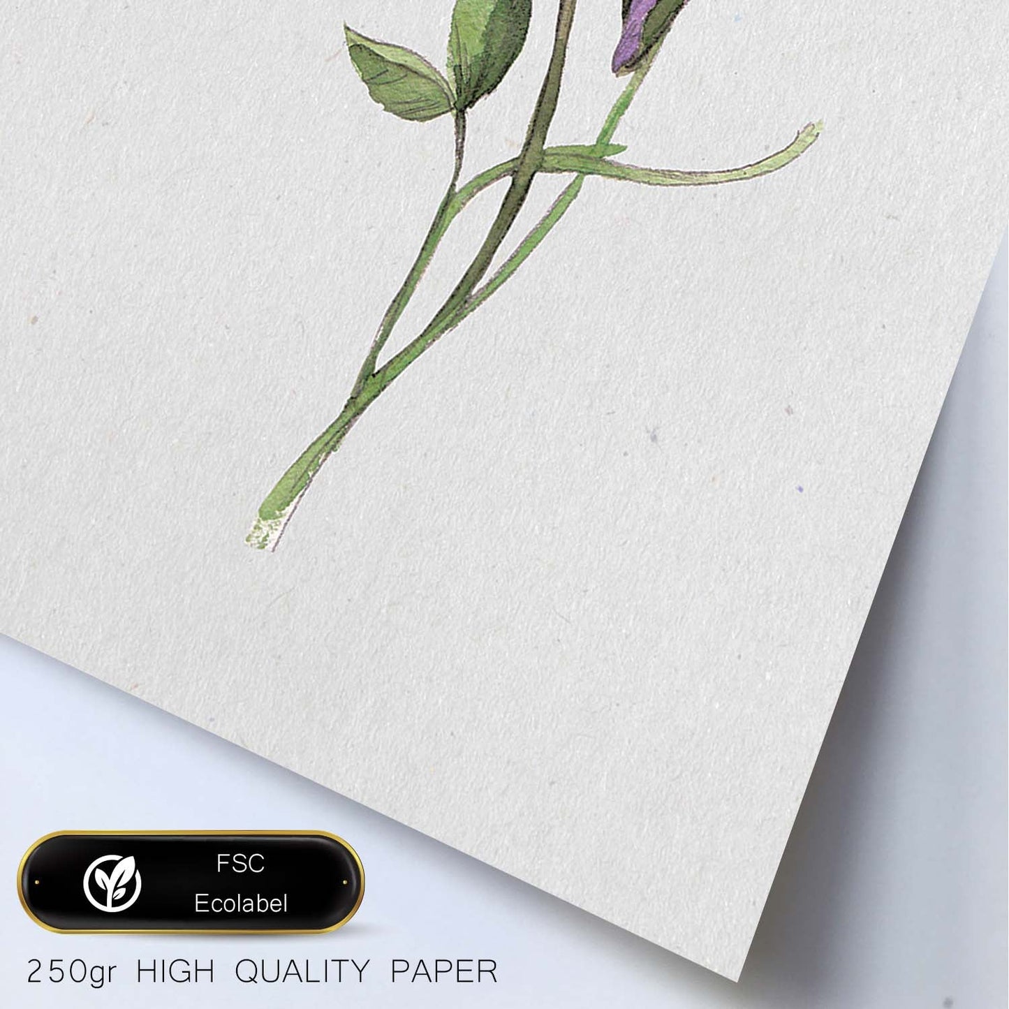 Poster de flores y plantas. Lámina con estilo óleo, con imágenes de vegetación, florales, y de plantas.-Artwork-Nacnic-Nacnic Estudio SL
