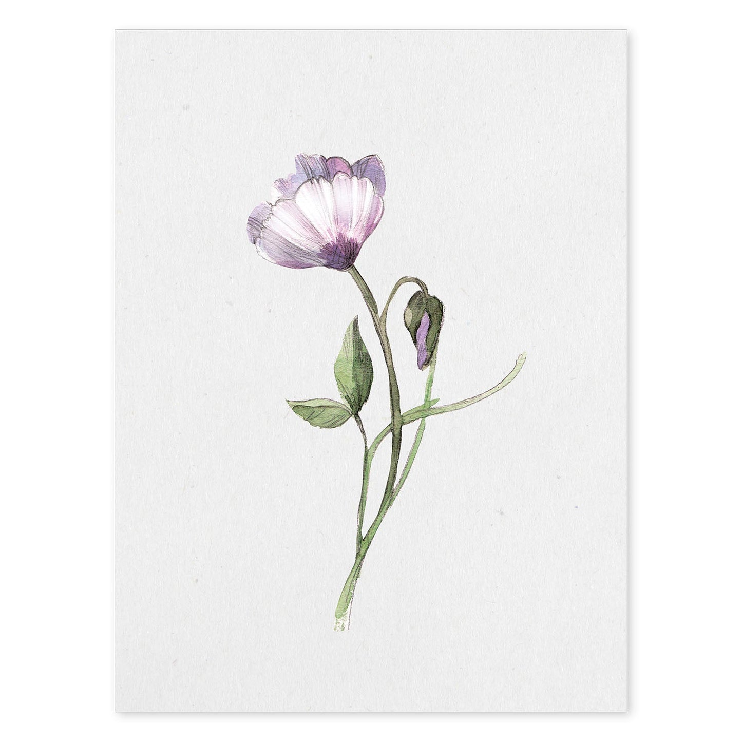 Poster de flores y plantas. Lámina con estilo óleo, con imágenes de vegetación, florales, y de plantas.-Artwork-Nacnic-A4-Sin marco-Nacnic Estudio SL