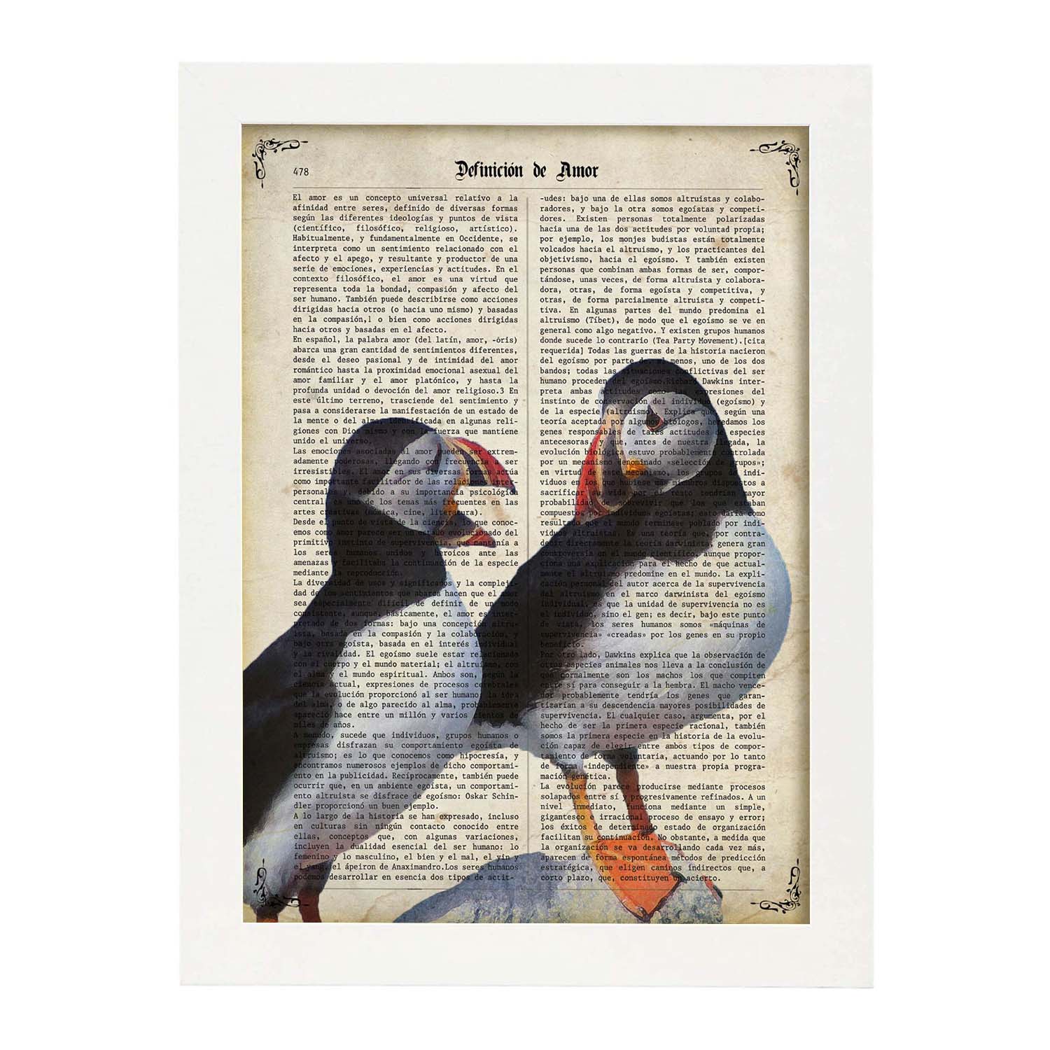 Poster de Frailecillos. Láminas de animales con definiciones. Ilustraciones de animales con textos.-Artwork-Nacnic-A3-Marco Blanco-Nacnic Estudio SL