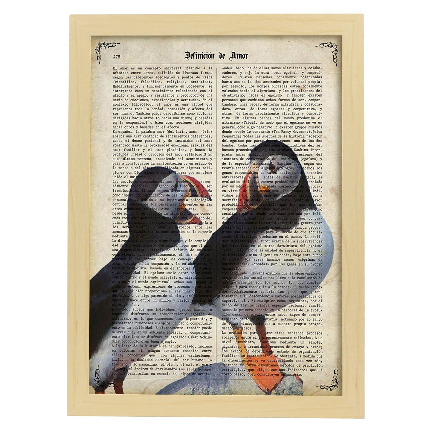 Poster de Frailecillos. Láminas de animales con definiciones. Ilustraciones de animales con textos.-Artwork-Nacnic-A4-Marco Madera clara-Nacnic Estudio SL
