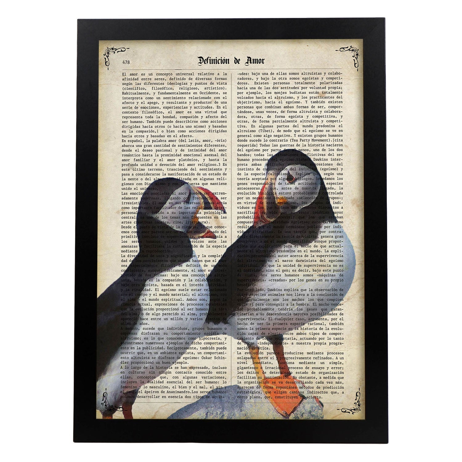 Poster de Frailecillos. Láminas de animales con definiciones. Ilustraciones de animales con textos.-Artwork-Nacnic-A4-Marco Negro-Nacnic Estudio SL