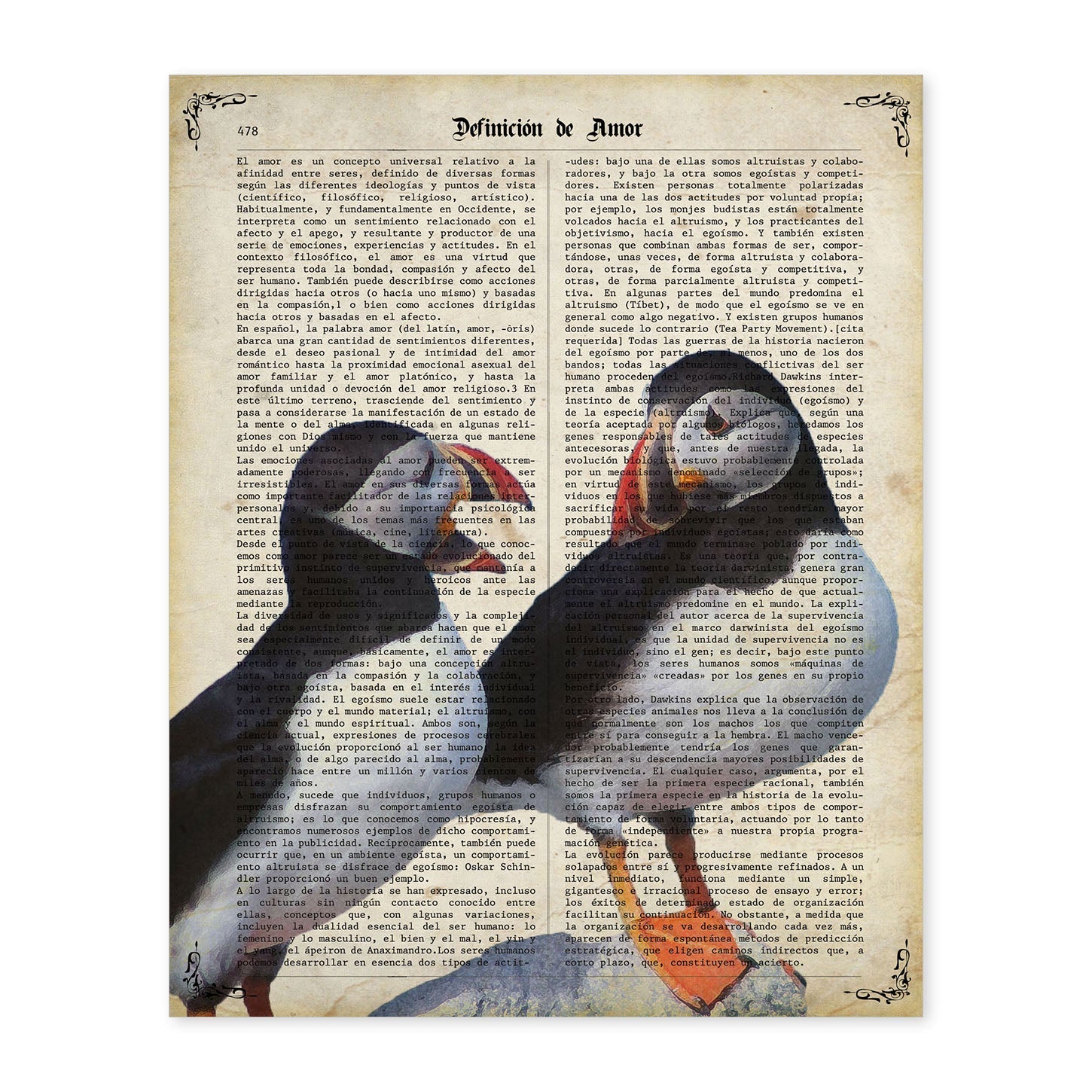 Poster de Frailecillos. Láminas de animales con definiciones. Ilustraciones de animales con textos.-Artwork-Nacnic-A4-Sin marco-Nacnic Estudio SL