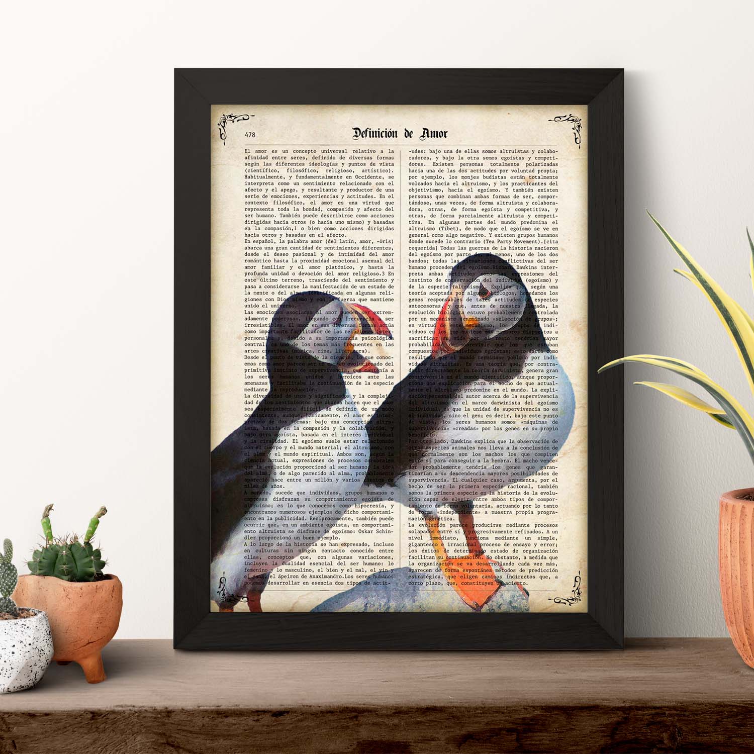 Poster de Frailecillos. Láminas de animales con definiciones. Ilustraciones de animales con textos.-Artwork-Nacnic-Nacnic Estudio SL