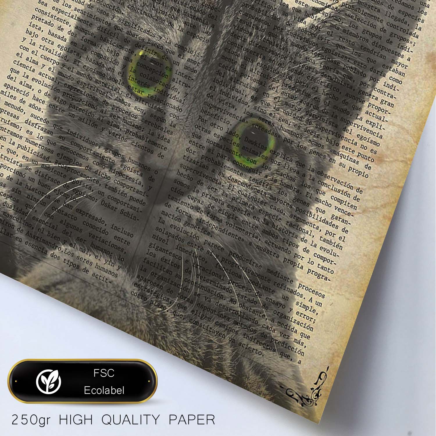 Poster de Gato de ojos verdes. Láminas de animales con definiciones. Ilustraciones de animales con textos.-Artwork-Nacnic-Nacnic Estudio SL