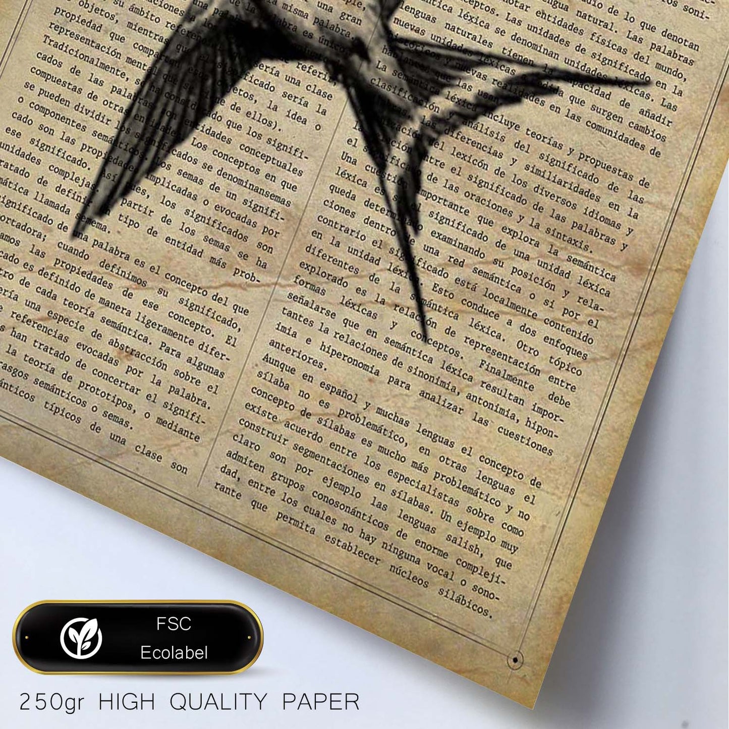 Poster de Golondrina.Láminas vintage para Posters con diseño vintage y definiciones.-Artwork-Nacnic-Nacnic Estudio SL