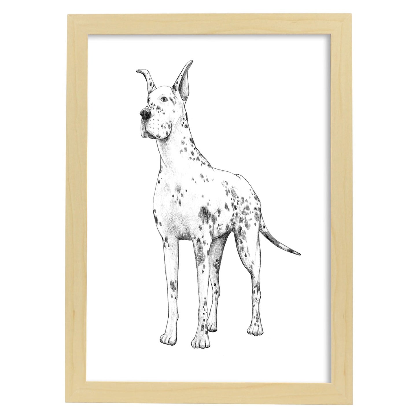 Poster de Gran danes blanco. Lámina decorativa de perros.-Artwork-Nacnic-A3-Marco Madera clara-Nacnic Estudio SL