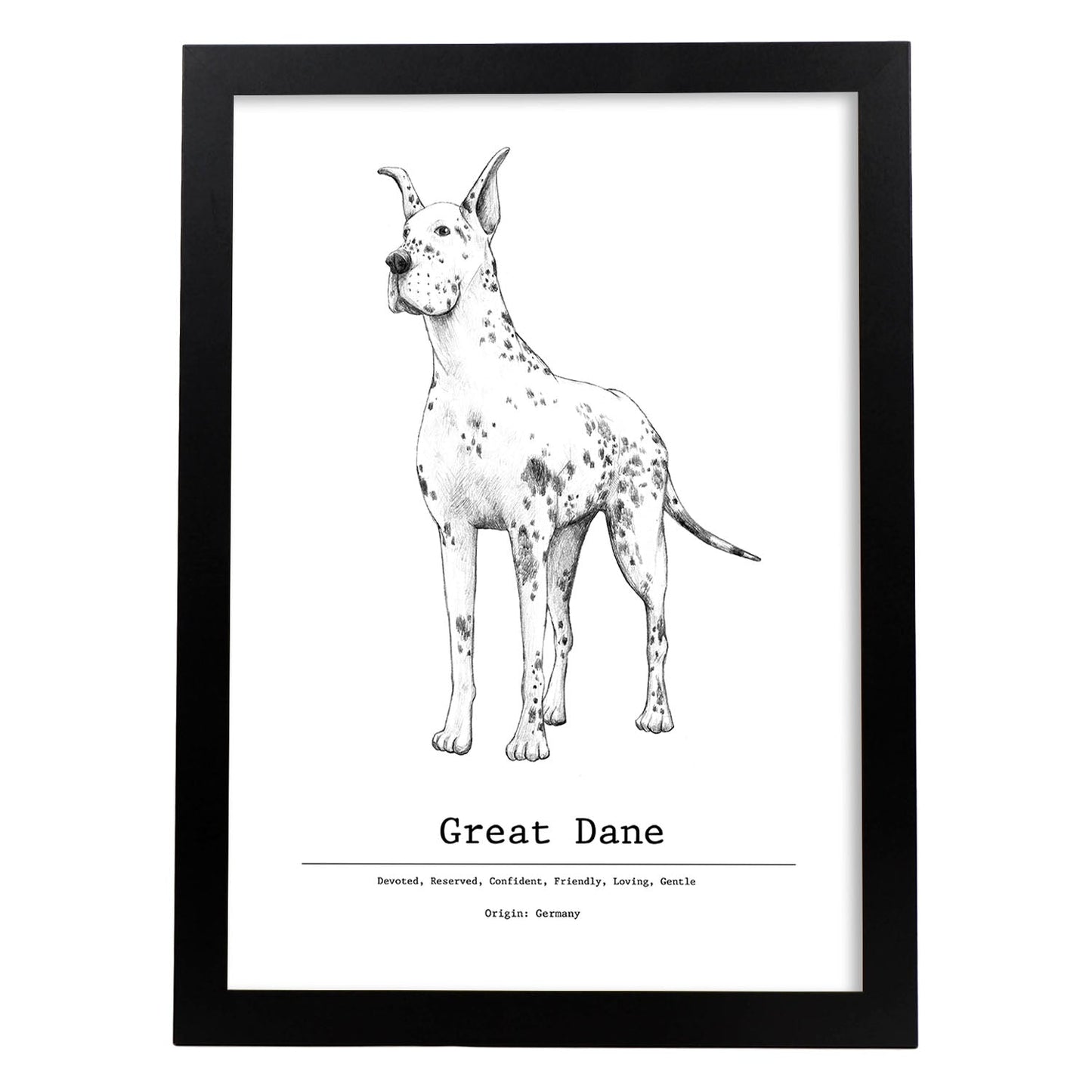 Poster de Gran danes texto. Lámina decorativa de perros.-Artwork-Nacnic-A3-Marco Negro-Nacnic Estudio SL