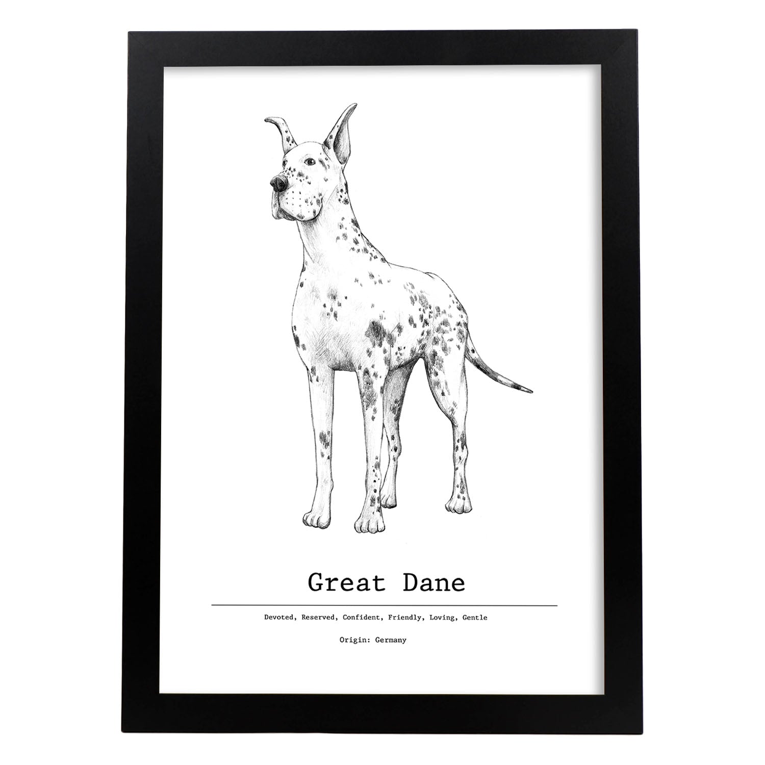 Poster de Gran danes texto. Lámina decorativa de perros.-Artwork-Nacnic-A3-Marco Negro-Nacnic Estudio SL