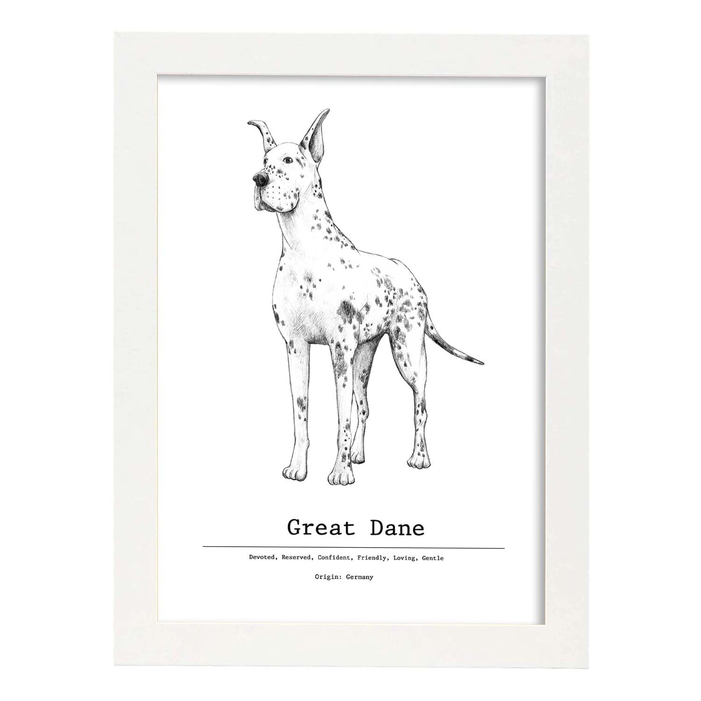 Poster de Gran danes texto. Lámina decorativa de perros.-Artwork-Nacnic-A4-Marco Blanco-Nacnic Estudio SL