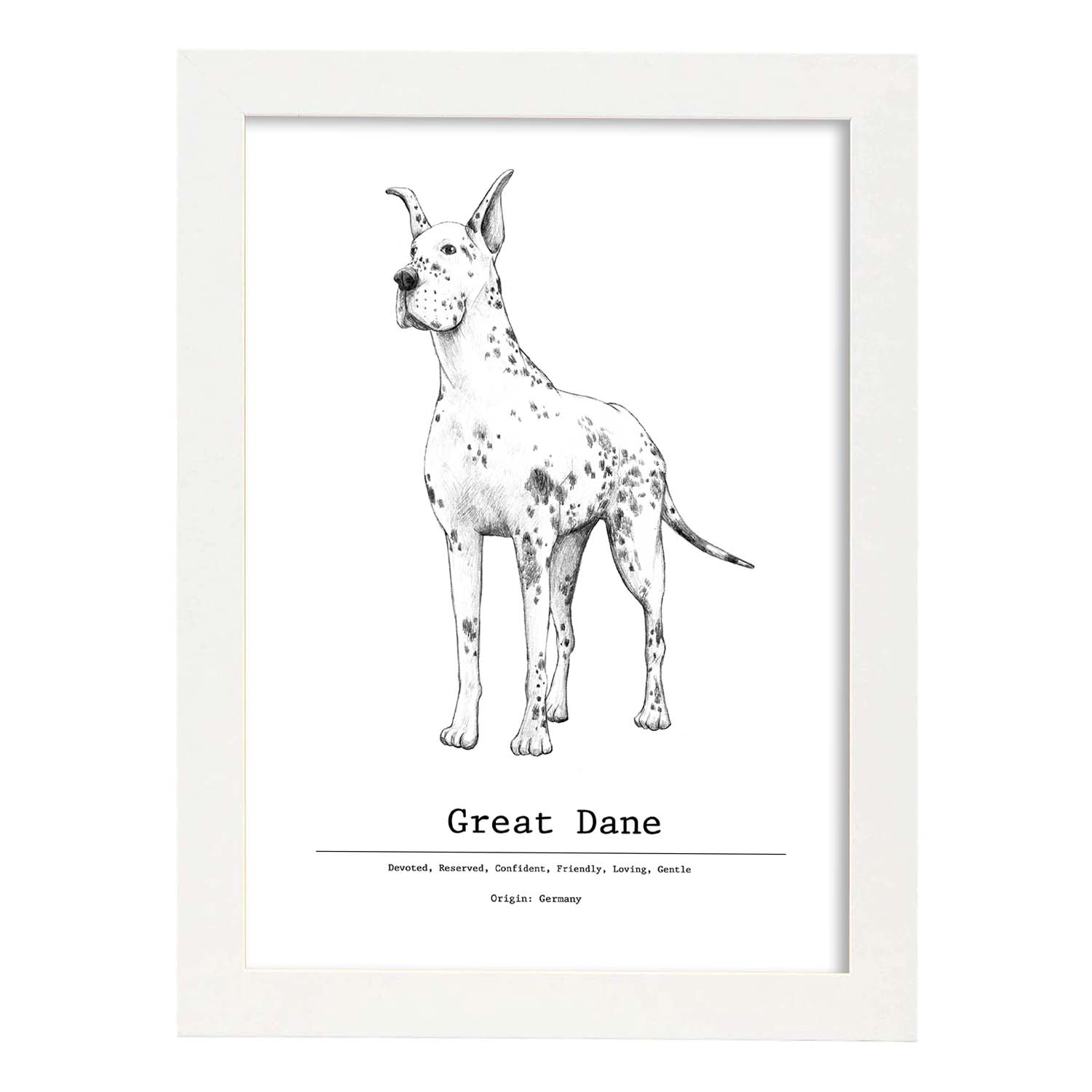 Poster de Gran danes texto. Lámina decorativa de perros.-Artwork-Nacnic-A4-Marco Blanco-Nacnic Estudio SL
