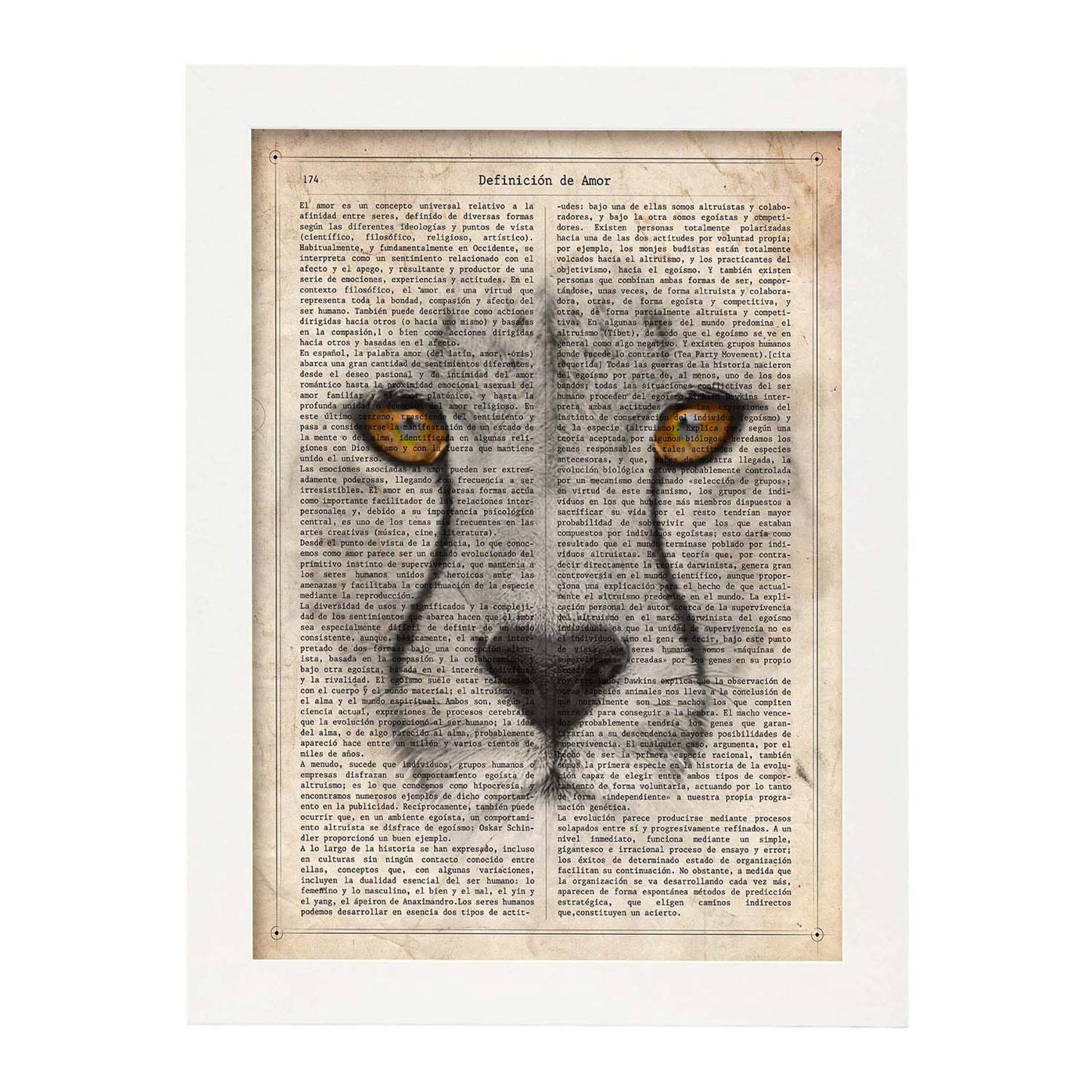 Poster de Guepardo. Láminas de animales con definiciones. Ilustraciones de animales con textos.-Artwork-Nacnic-A3-Marco Blanco-Nacnic Estudio SL