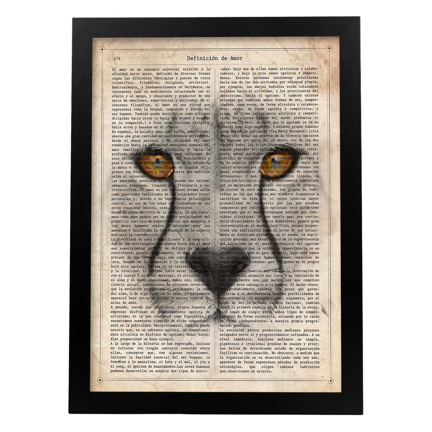 Poster de Guepardo. Láminas de animales con definiciones. Ilustraciones de animales con textos.-Artwork-Nacnic-A3-Marco Negro-Nacnic Estudio SL