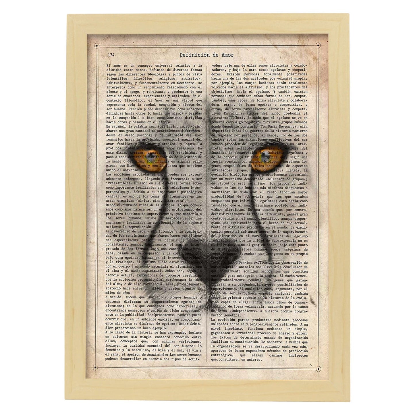 Poster de Guepardo. Láminas de animales con definiciones. Ilustraciones de animales con textos.-Artwork-Nacnic-A4-Marco Madera clara-Nacnic Estudio SL