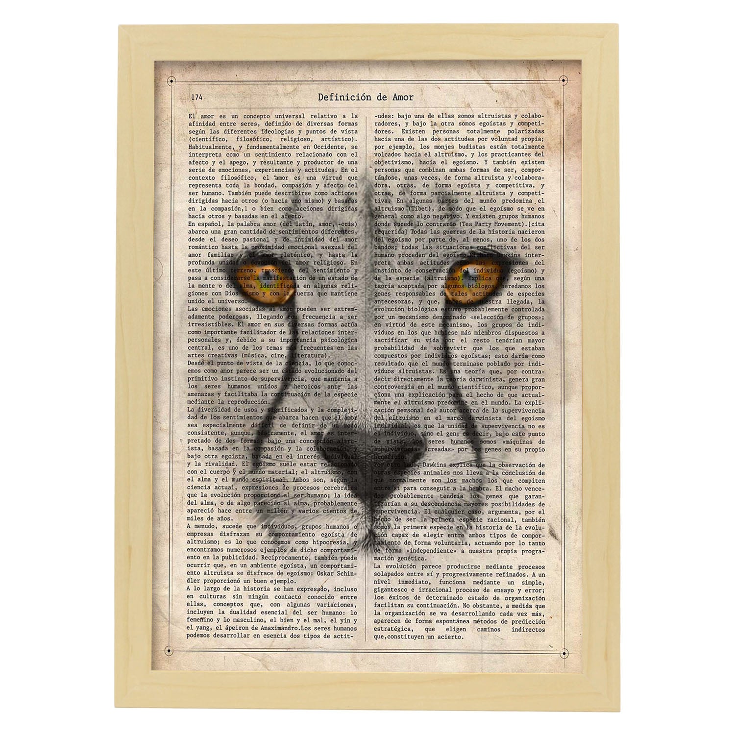 Poster de Guepardo. Láminas de animales con definiciones. Ilustraciones de animales con textos.-Artwork-Nacnic-A4-Marco Madera clara-Nacnic Estudio SL