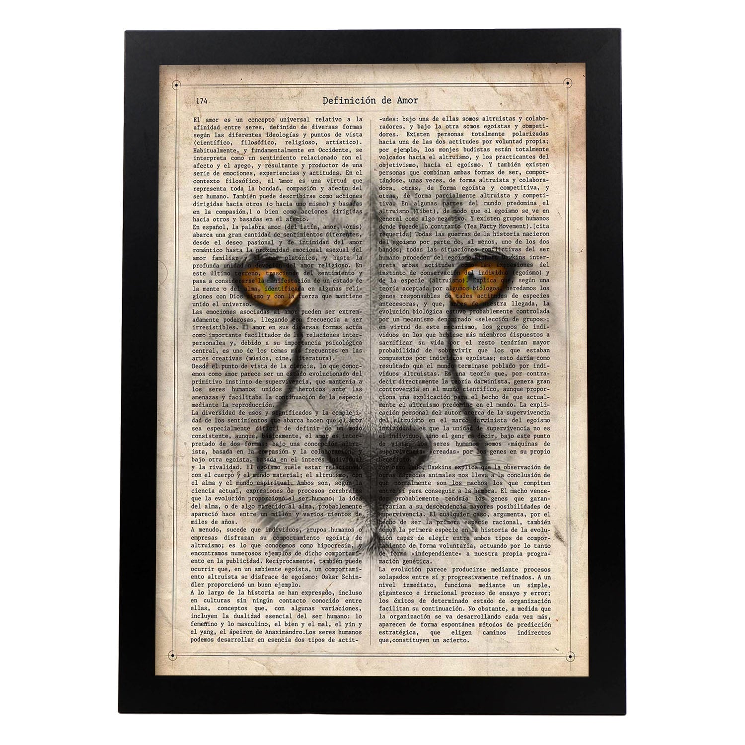 Poster de Guepardo. Láminas de animales con definiciones. Ilustraciones de animales con textos.-Artwork-Nacnic-A4-Marco Negro-Nacnic Estudio SL