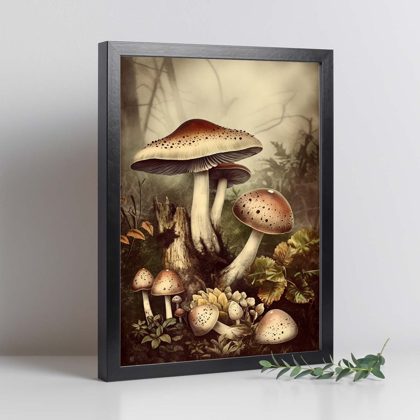 Póster Vintage de Hongos Antiguos en el Bosque