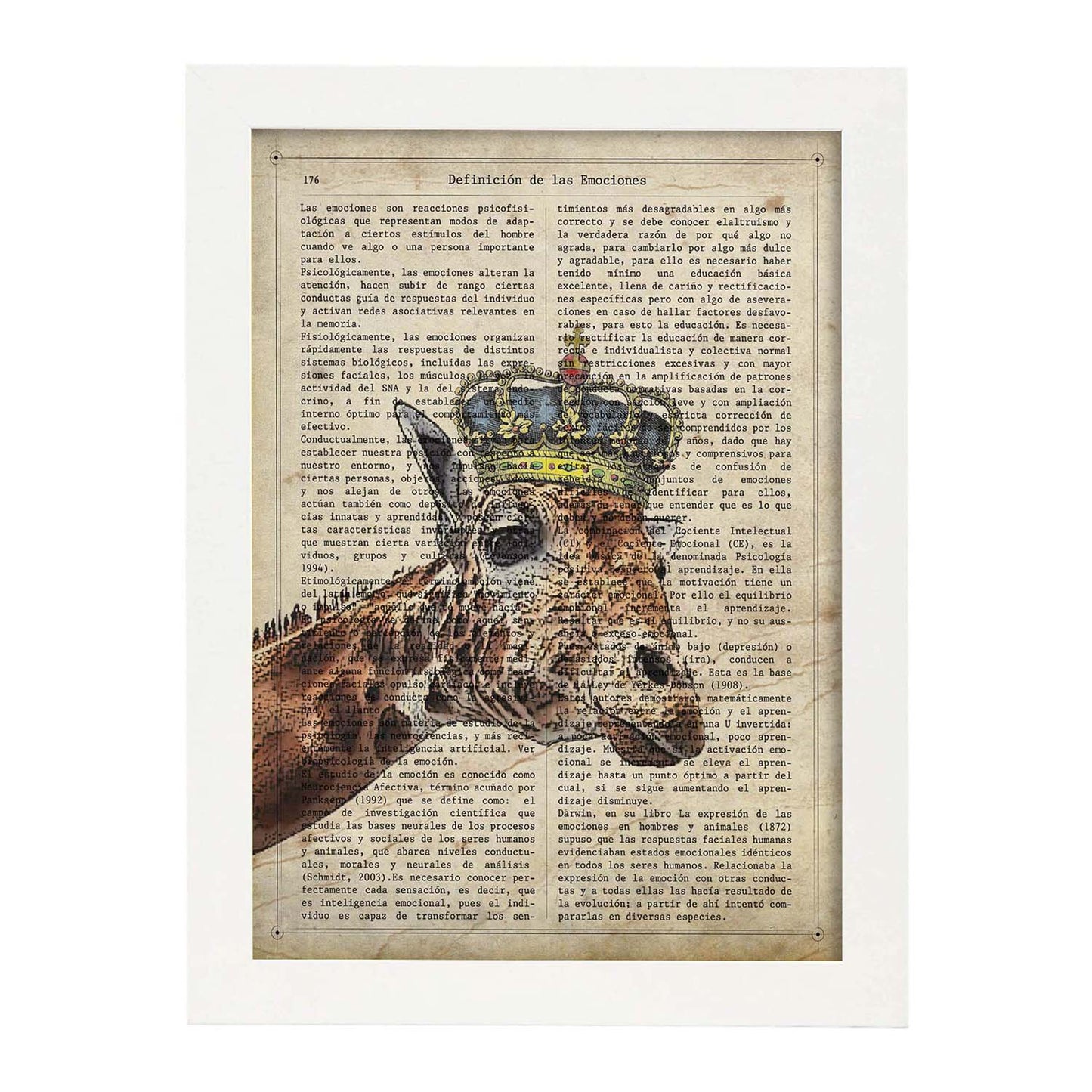 Poster de Jirafa reina. Láminas de animales con definiciones. Ilustraciones de animales con textos.-Artwork-Nacnic-A3-Marco Blanco-Nacnic Estudio SL