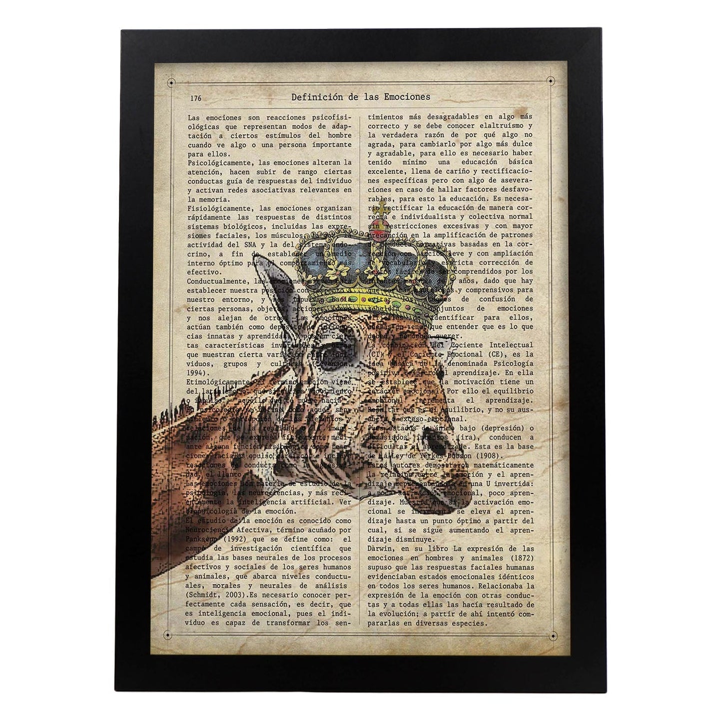 Poster de Jirafa reina. Láminas de animales con definiciones. Ilustraciones de animales con textos.-Artwork-Nacnic-A4-Marco Negro-Nacnic Estudio SL