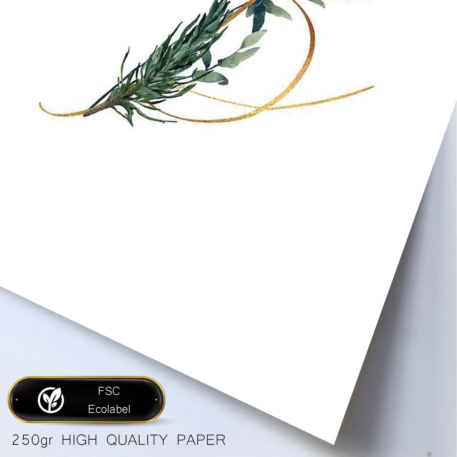 Poster de letra B. Lámina estilo Verde Fino con imágenes del alfabeto.-Artwork-Nacnic-Nacnic Estudio SL