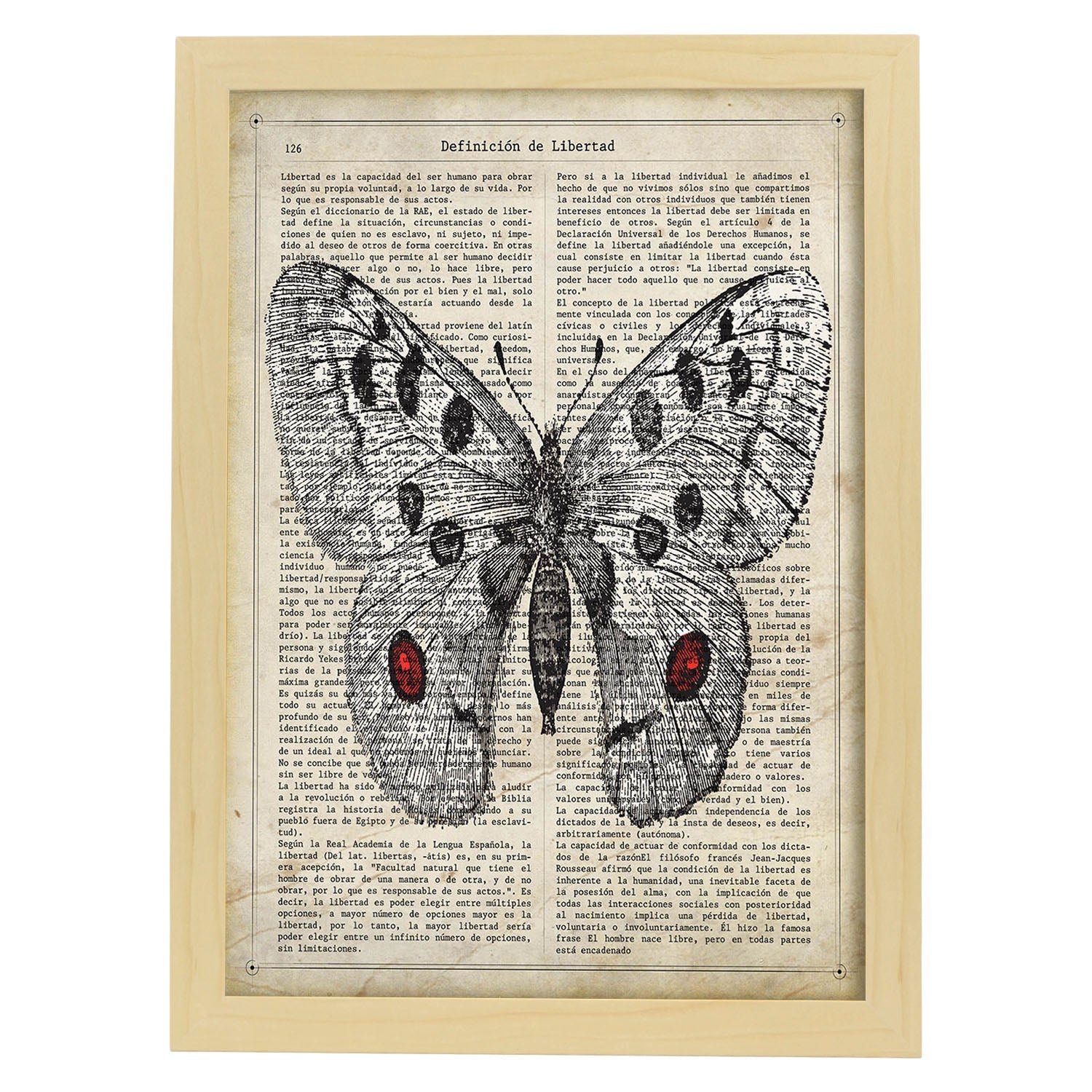 Poster de Mariposa Apollo. Láminas de mariposas. Decoración de mariposas y polillas.-Artwork-Nacnic-A4-Marco Madera clara-Nacnic Estudio SL