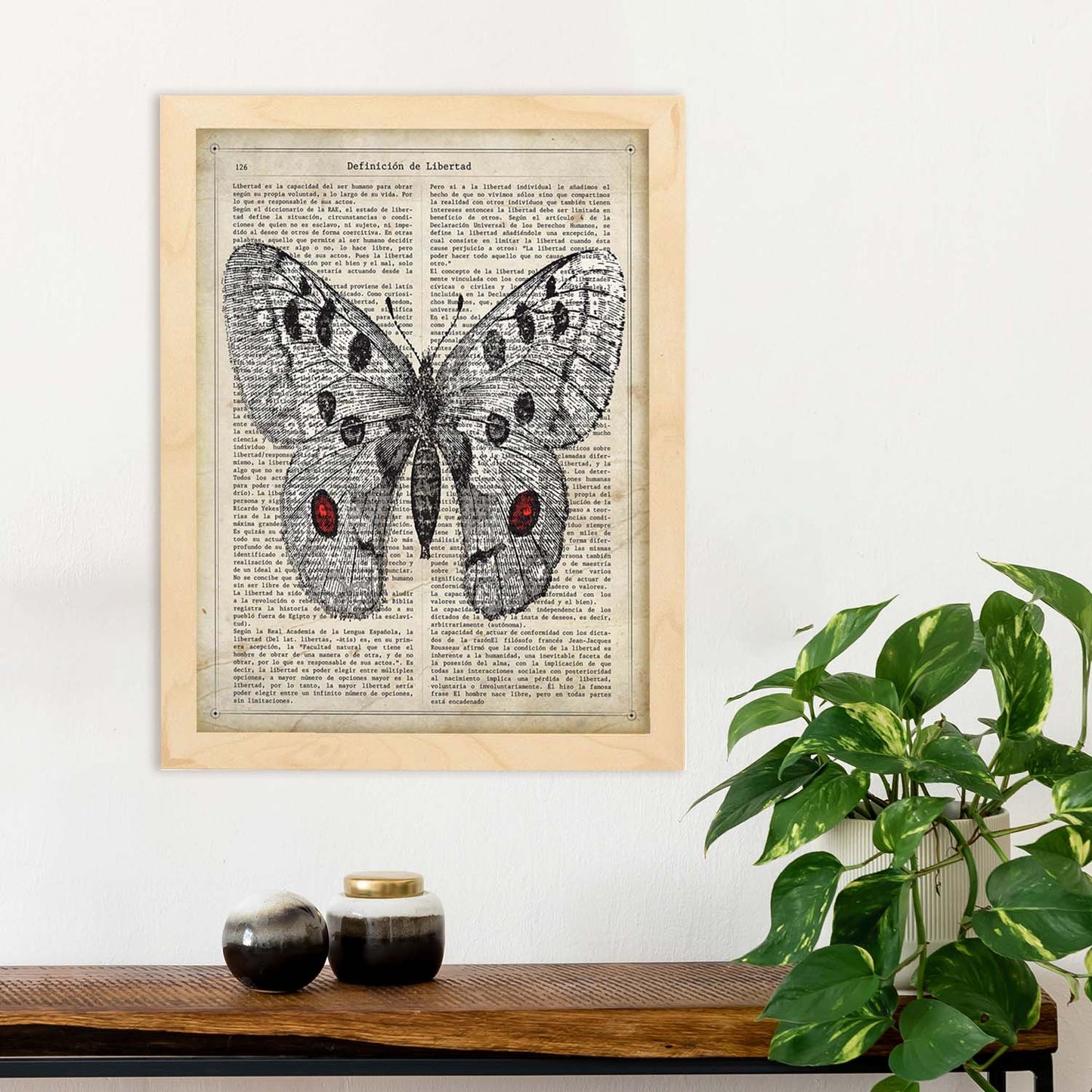 Poster de Mariposa Apollo. Láminas de mariposas. Decoración de mariposas y polillas.-Artwork-Nacnic-Nacnic Estudio SL