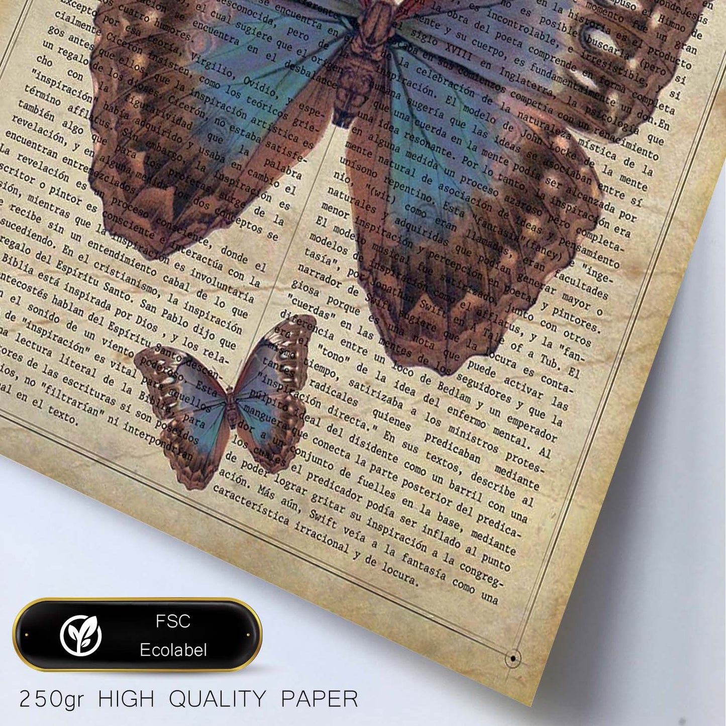 Poster de Mariposa azul negra. Láminas de mariposas. Decoración de mariposas y polillas.-Artwork-Nacnic-Nacnic Estudio SL