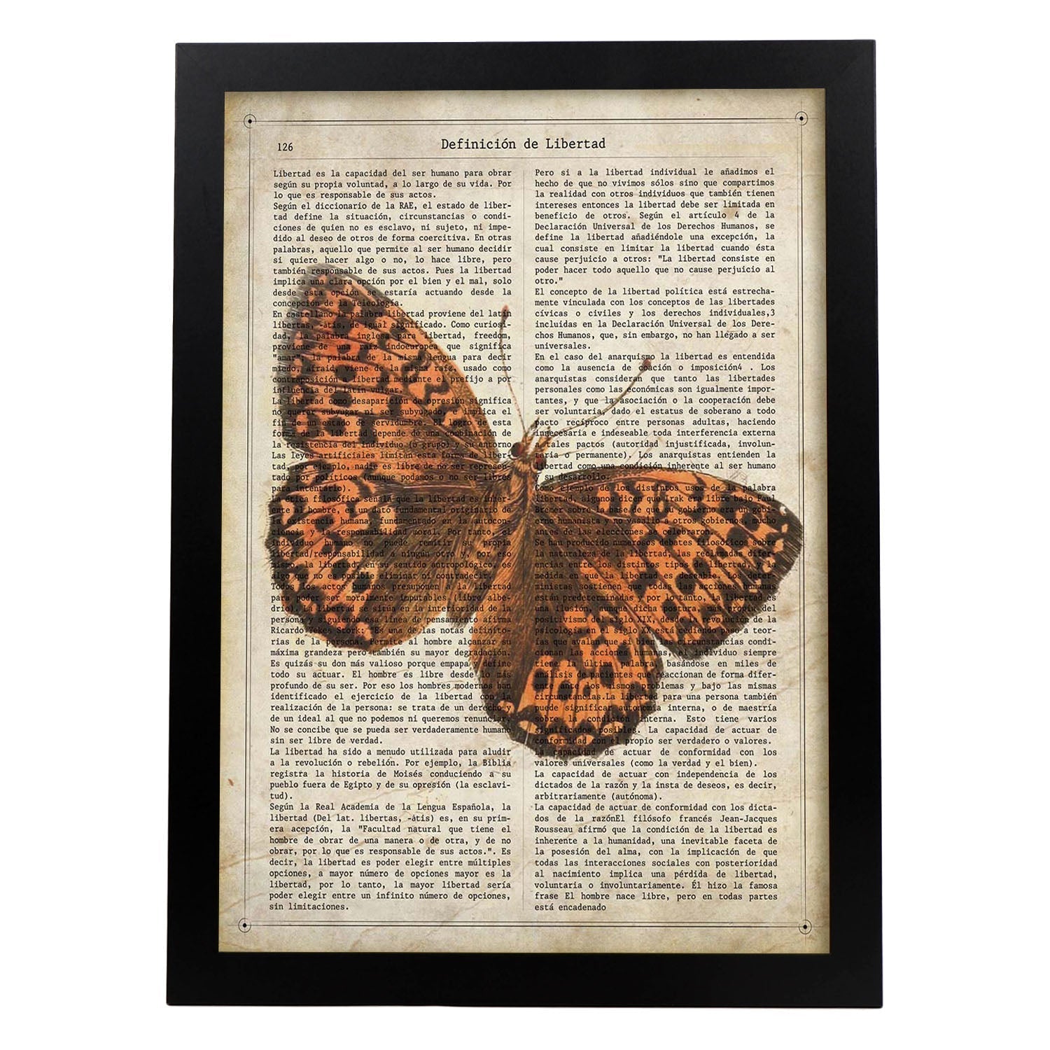 Poster de Mariposa Hamearis. Láminas de mariposas. Decoración de mariposas y polillas.-Artwork-Nacnic-A3-Marco Negro-Nacnic Estudio SL