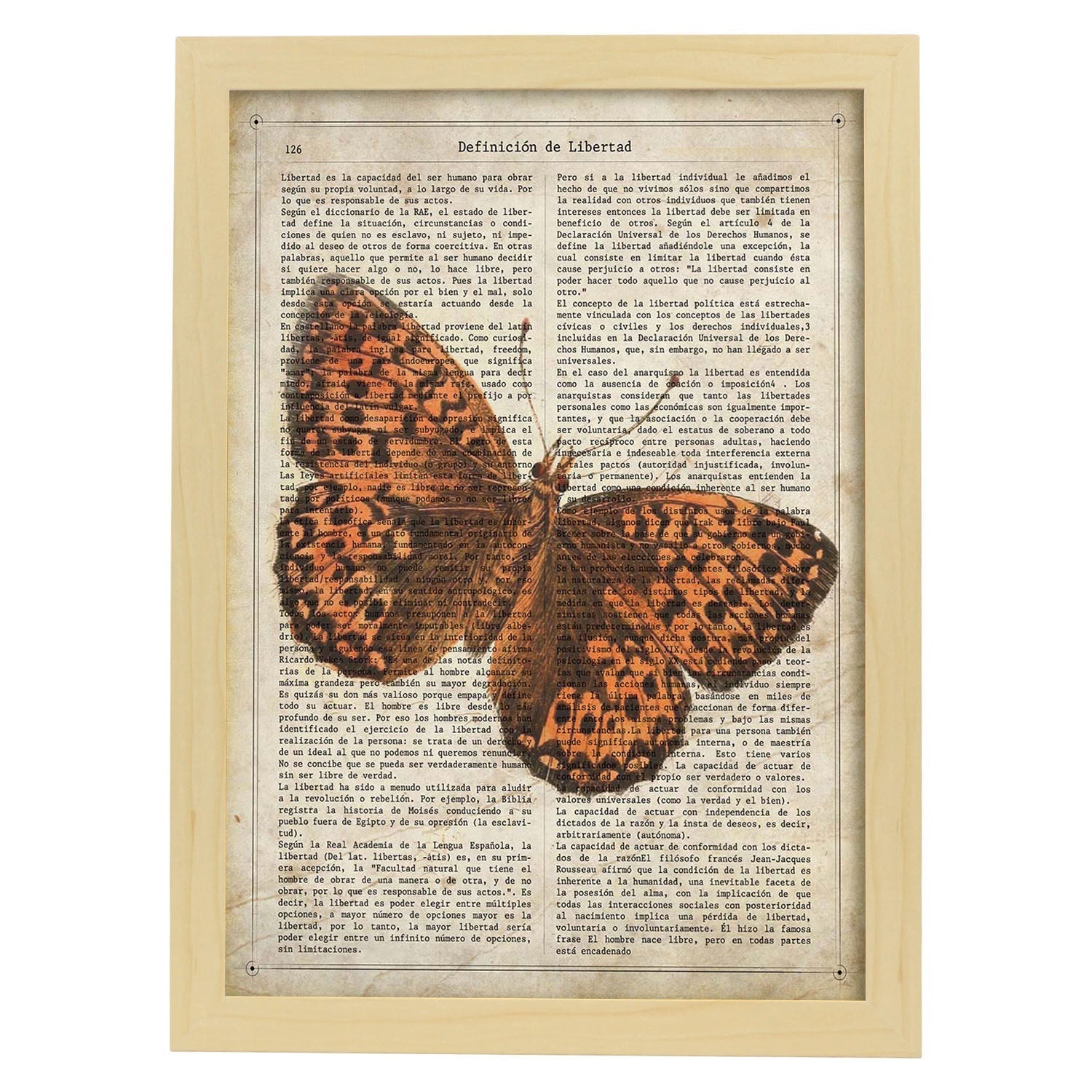 Poster de Mariposa Hamearis. Láminas de mariposas. Decoración de mariposas y polillas.-Artwork-Nacnic-A4-Marco Madera clara-Nacnic Estudio SL