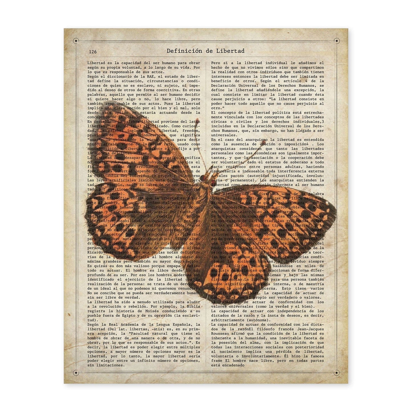 Poster de Mariposa Hamearis. Láminas de mariposas. Decoración de mariposas y polillas.-Artwork-Nacnic-A4-Sin marco-Nacnic Estudio SL
