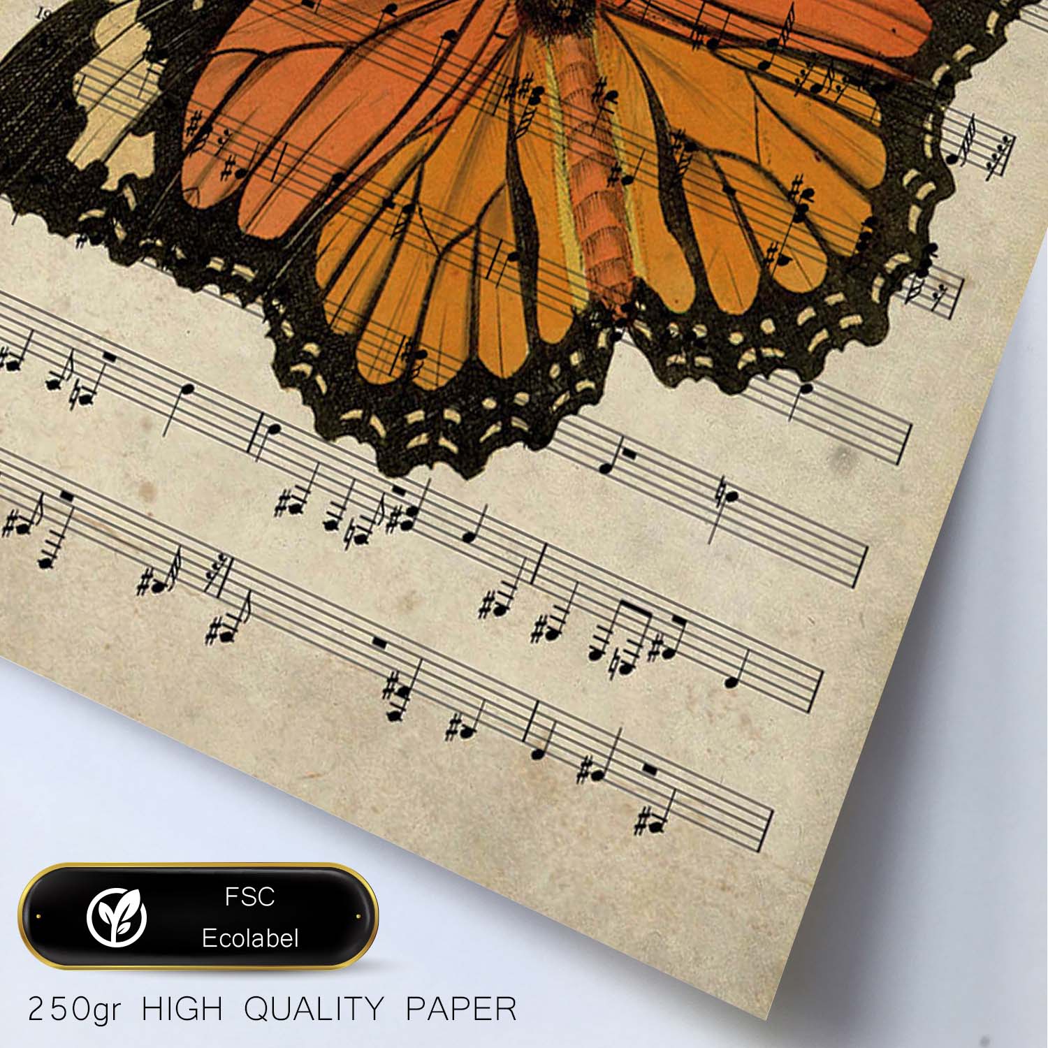 Poster de Mariposa Monarca. Láminas de mariposas. Decoración de mariposas y polillas.-Artwork-Nacnic-Nacnic Estudio SL