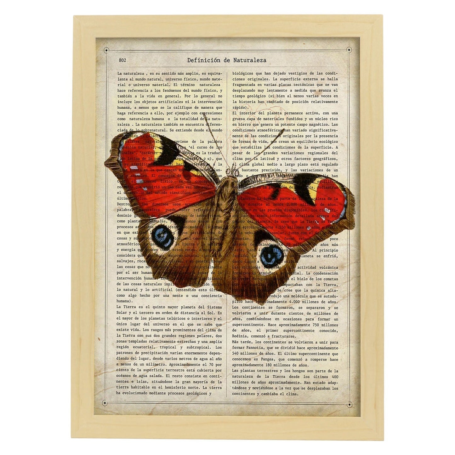 Poster de Mariposa Pavo real. Láminas de mariposas. Decoración de mariposas y polillas.-Artwork-Nacnic-A3-Marco Madera clara-Nacnic Estudio SL