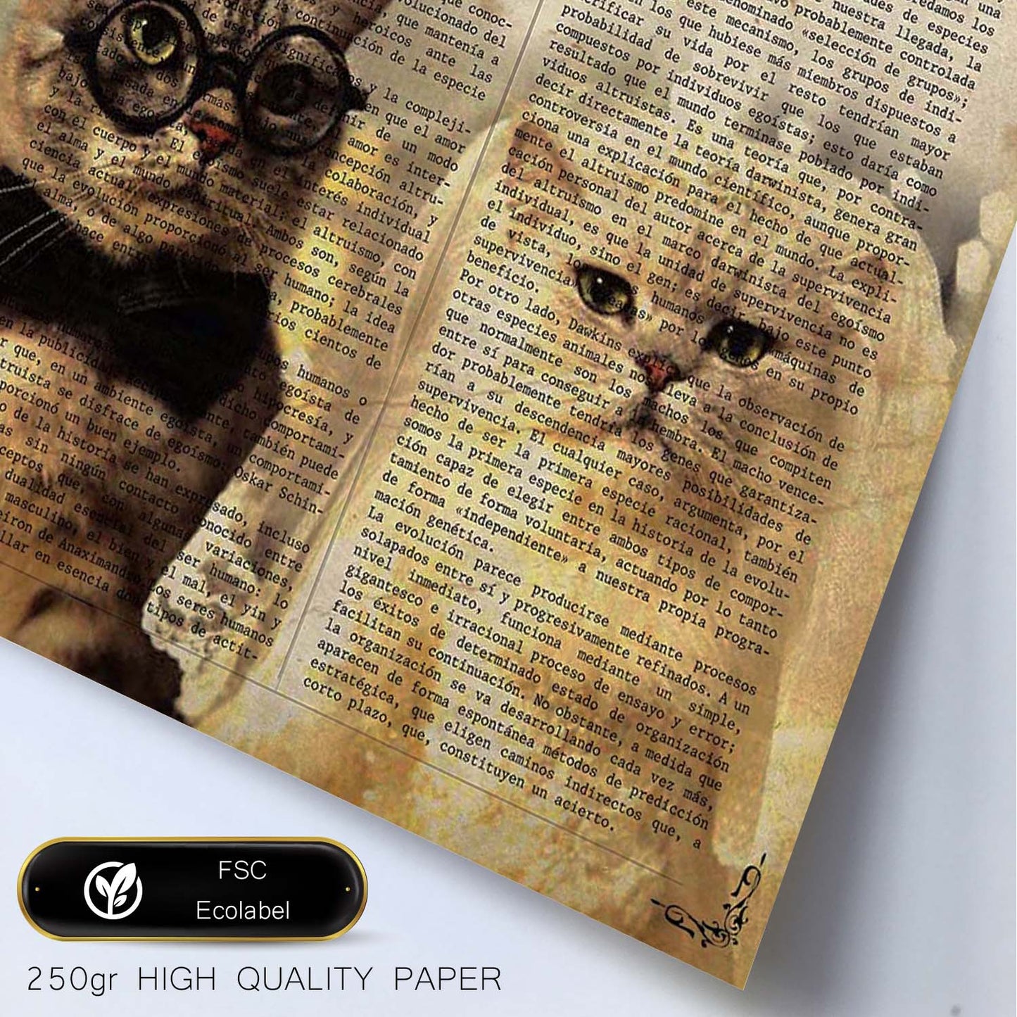 Poster de Matrimonio de gatos. Láminas de animales con definiciones. Ilustraciones de animales con textos.-Artwork-Nacnic-Nacnic Estudio SL