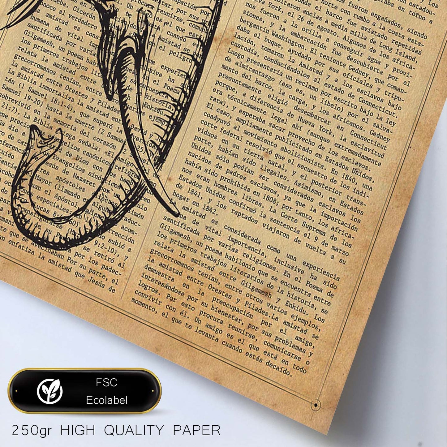 Poster de Memoria de Elefante con definición. Láminas de animales con texto y definición. Diseño de interiores basado en animales.-Artwork-Nacnic-Nacnic Estudio SL