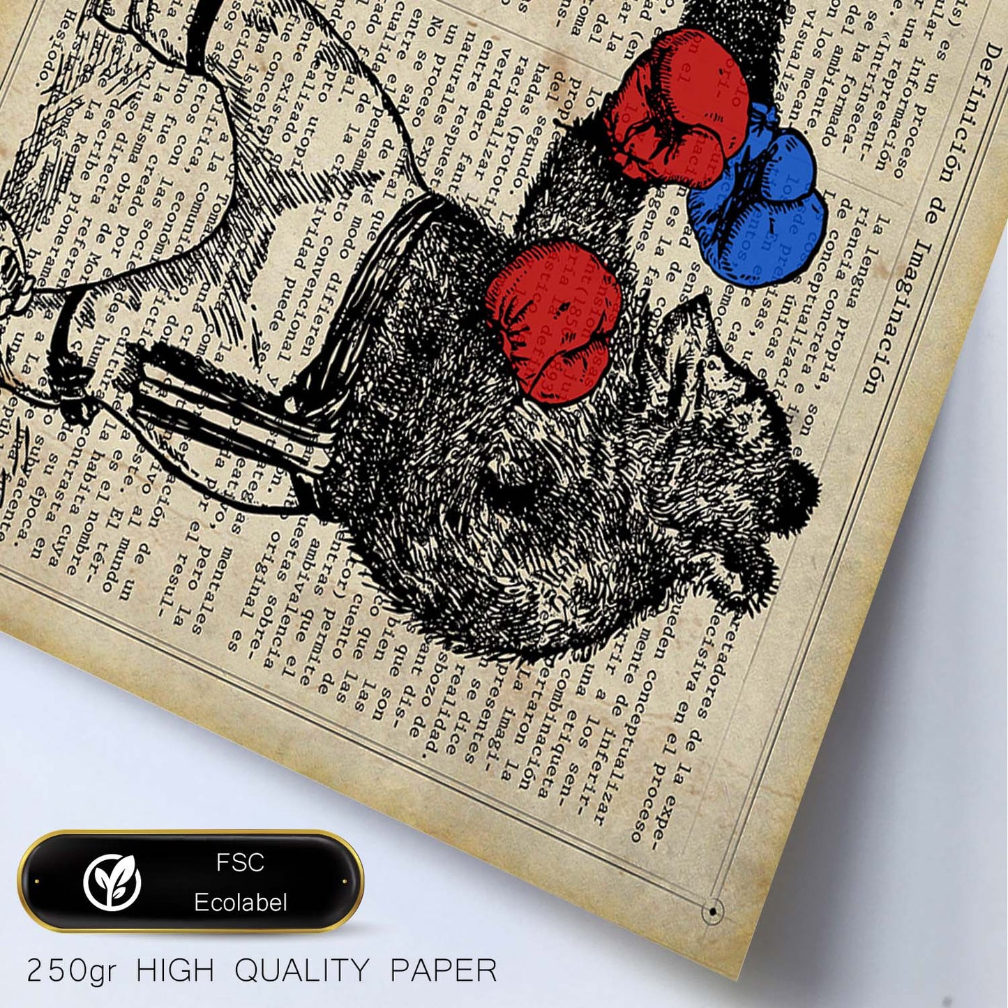 Poster de Osos boxeando. Láminas de animales con definiciones. Ilustraciones de animales con textos.-Artwork-Nacnic-Nacnic Estudio SL