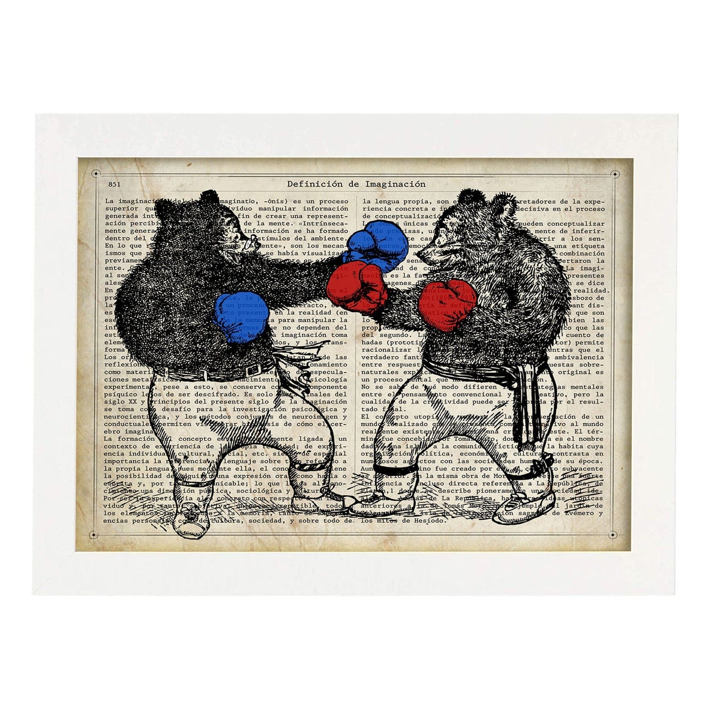 Poster de Osos boxeando. Láminas de animales con definiciones. Ilustraciones de animales con textos.-Artwork-Nacnic-A4-Marco Blanco-Nacnic Estudio SL