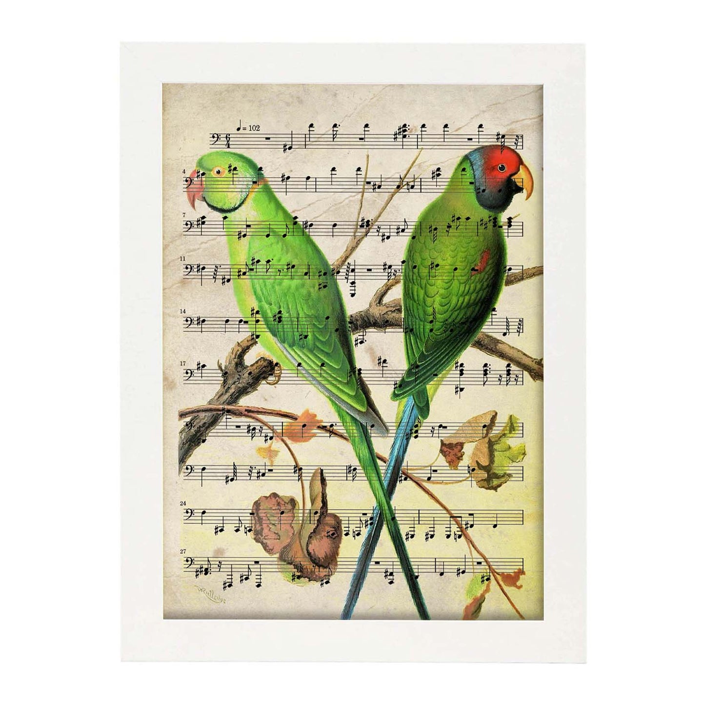 Poster de pajaros. Lámina de Agaporni con partituras. Cuadros de pajaritos con partituras musicales.-Artwork-Nacnic-A3-Marco Blanco-Nacnic Estudio SL