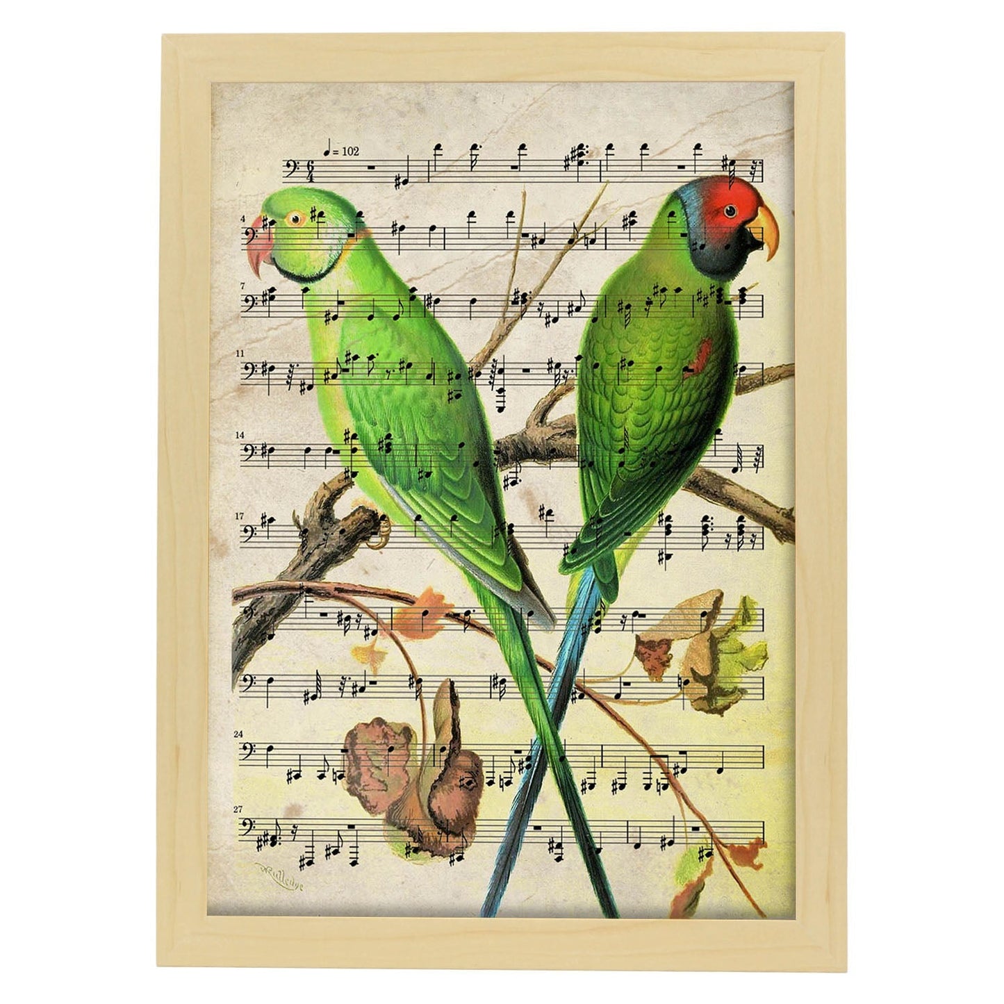 Poster de pajaros. Lámina de Agaporni con partituras. Cuadros de pajaritos con partituras musicales.-Artwork-Nacnic-A3-Marco Madera clara-Nacnic Estudio SL