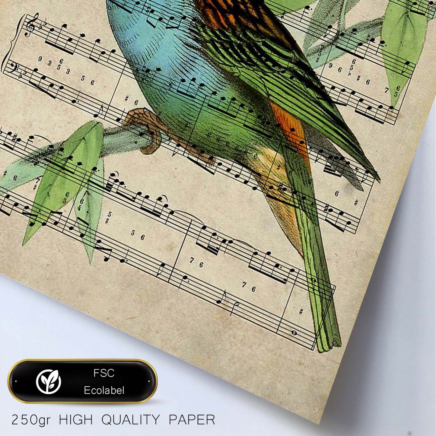 Poster de pajaros. Lámina de Citron con partituras. Cuadros de pajaritos con partituras musicales.-Artwork-Nacnic-Nacnic Estudio SL