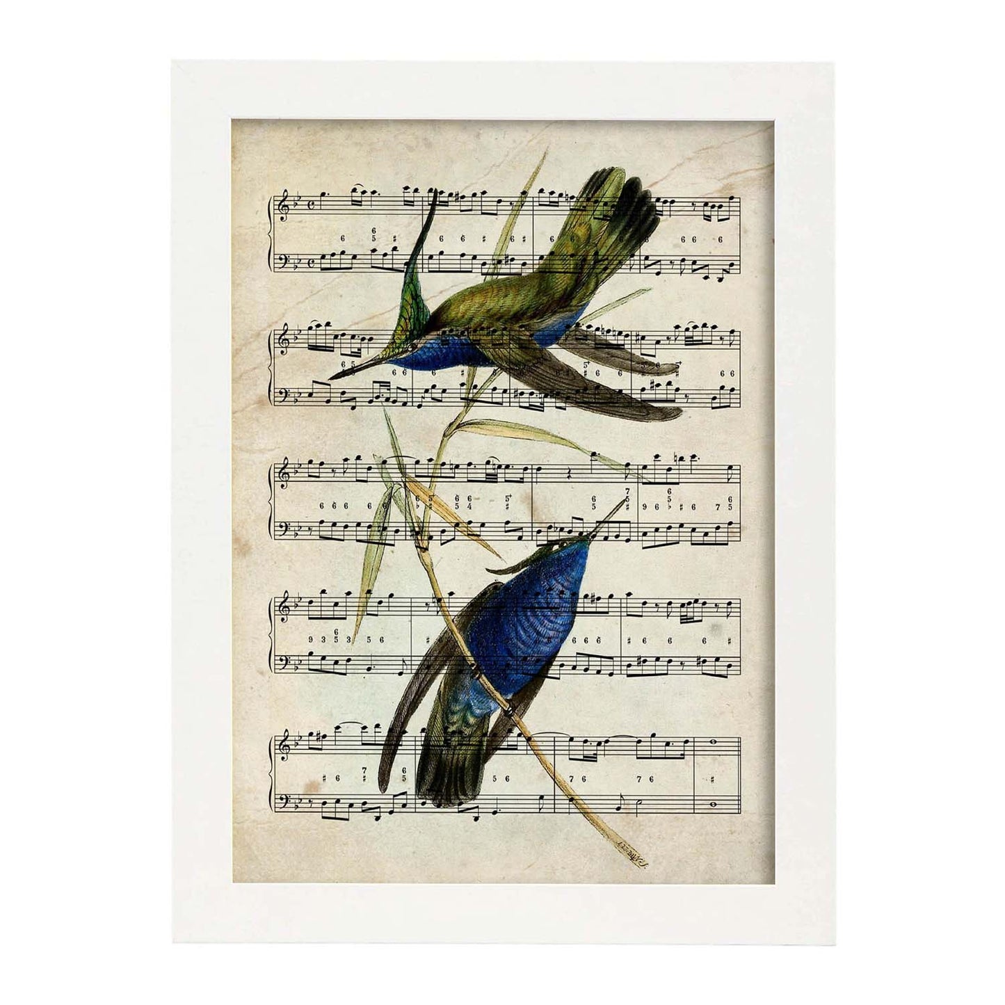 Poster de pajaros. Lámina de Colibri azul con partituras. Cuadros de pajaritos con partituras musicales.-Artwork-Nacnic-A3-Marco Blanco-Nacnic Estudio SL