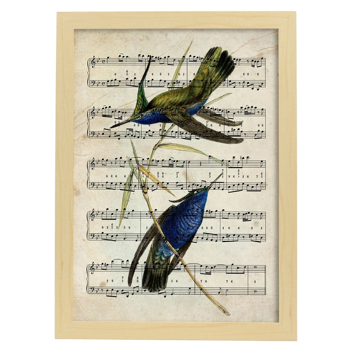 Poster de pajaros. Lámina de Colibri azul con partituras. Cuadros de pajaritos con partituras musicales.-Artwork-Nacnic-A3-Marco Madera clara-Nacnic Estudio SL