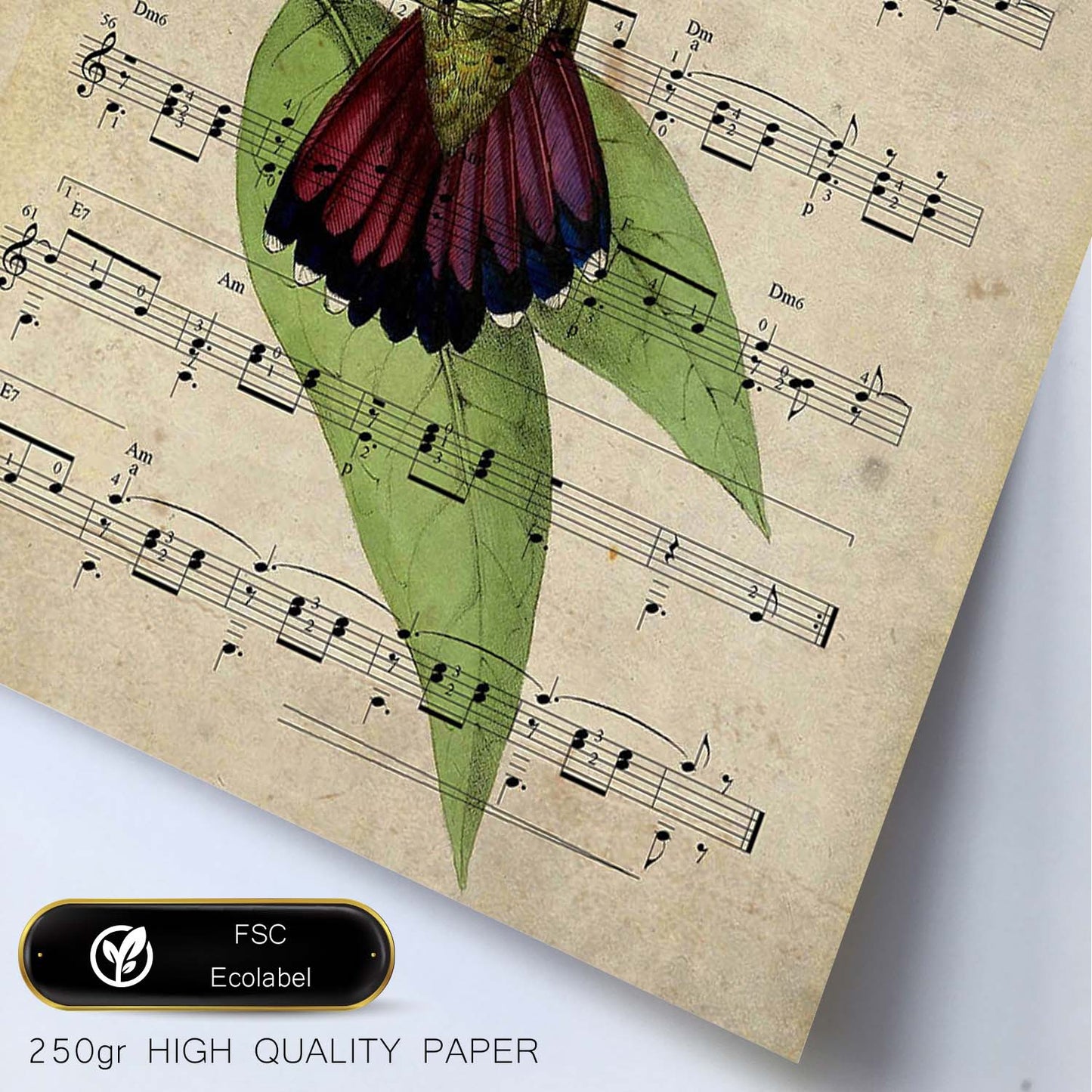 Poster de pajaros. Lámina de Colibri con partituras. Cuadros de pajaritos con partituras musicales.-Artwork-Nacnic-Nacnic Estudio SL