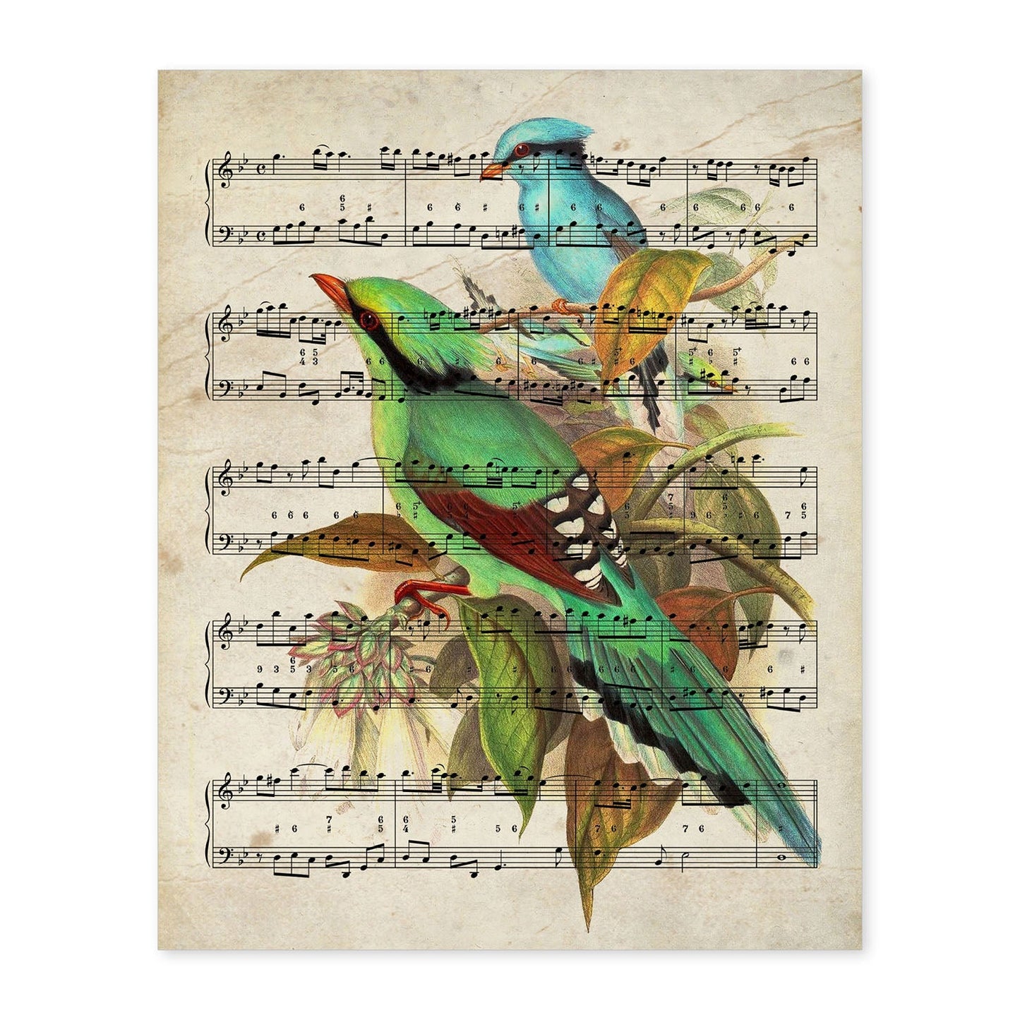 Poster de pajaros. Lámina de Colibris con partituras. Cuadros de pajaritos con partituras musicales.-Artwork-Nacnic-A4-Sin marco-Nacnic Estudio SL