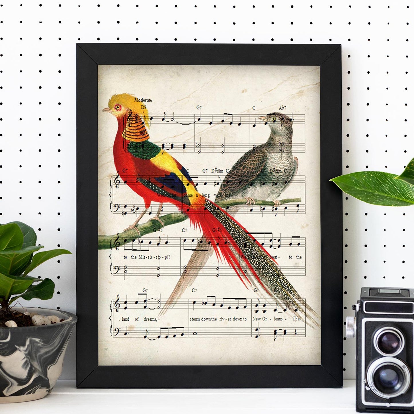 Poster de pajaros. Lámina de Faisan dorado partitura con partituras. Cuadros de pajaritos con partituras musicales.-Artwork-Nacnic-Nacnic Estudio SL