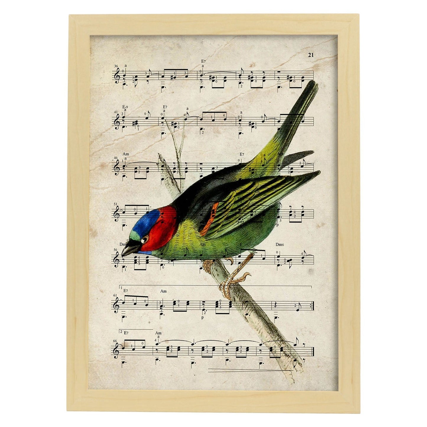 Poster de pajaros. Lámina de Thraupiscyanocephala con partituras. Cuadros de pajaritos con partituras musicales.-Artwork-Nacnic-A3-Marco Madera clara-Nacnic Estudio SL