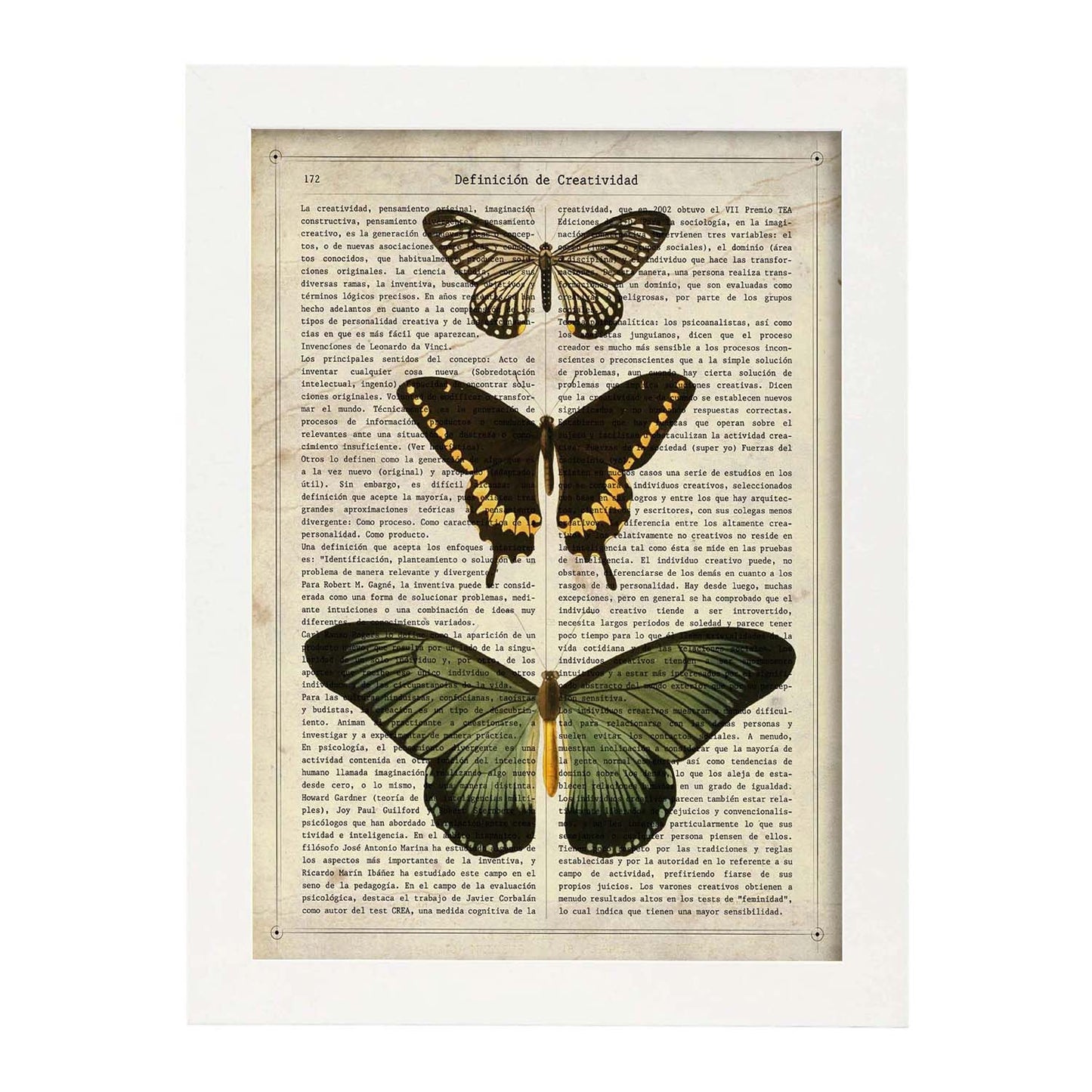 Poster de Papilio zalmoxis. Láminas de mariposas. Decoración de mariposas y polillas.-Artwork-Nacnic-A3-Marco Blanco-Nacnic Estudio SL
