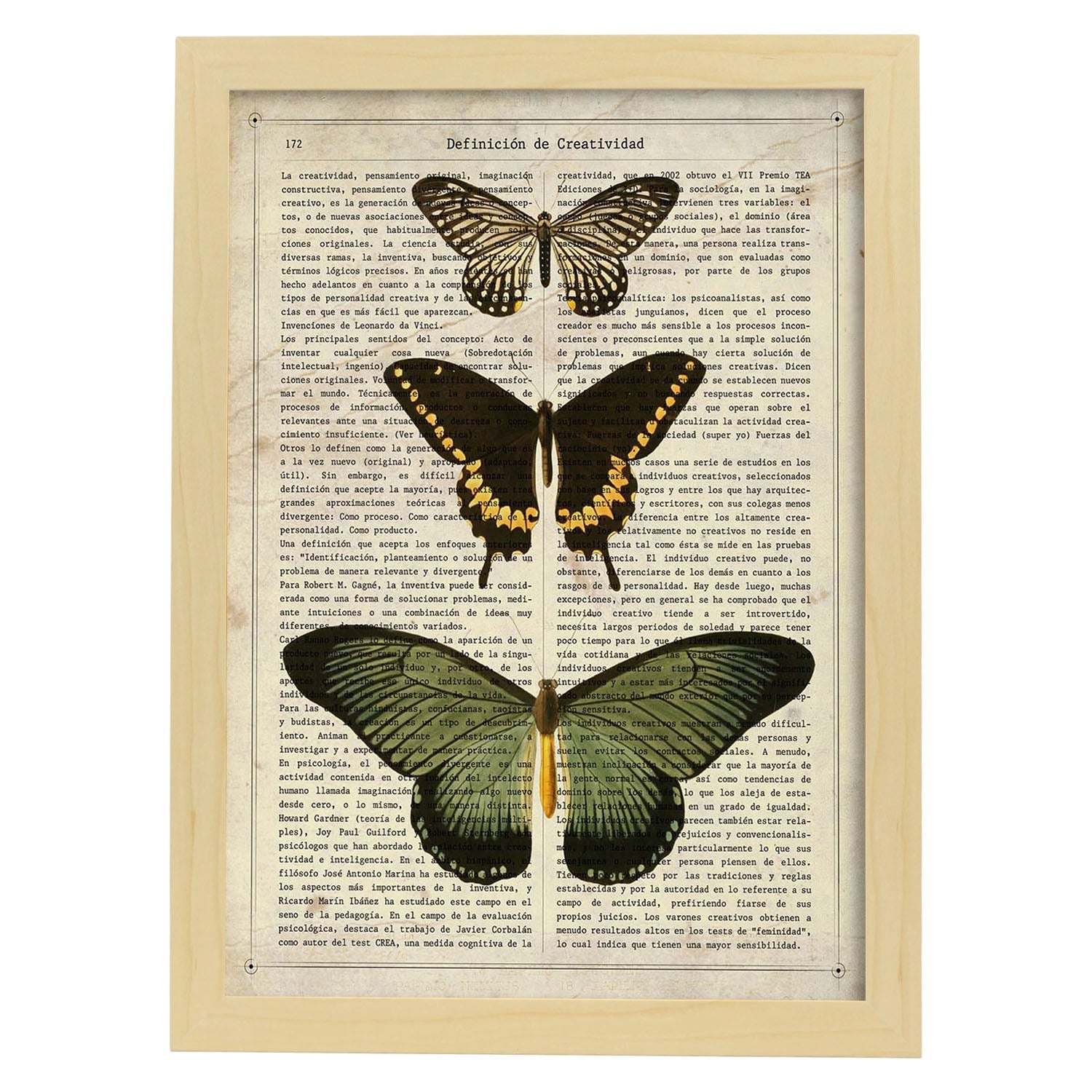 Poster de Papilio zalmoxis. Láminas de mariposas. Decoración de mariposas y polillas.-Artwork-Nacnic-A3-Marco Madera clara-Nacnic Estudio SL