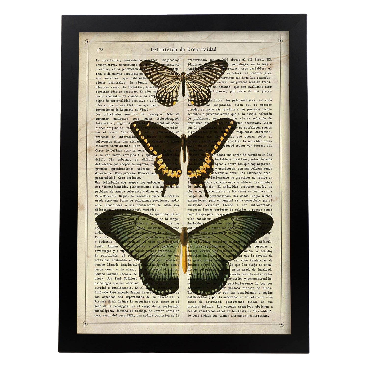 Poster de Papilio zalmoxis. Láminas de mariposas. Decoración de mariposas y polillas.-Artwork-Nacnic-A3-Marco Negro-Nacnic Estudio SL