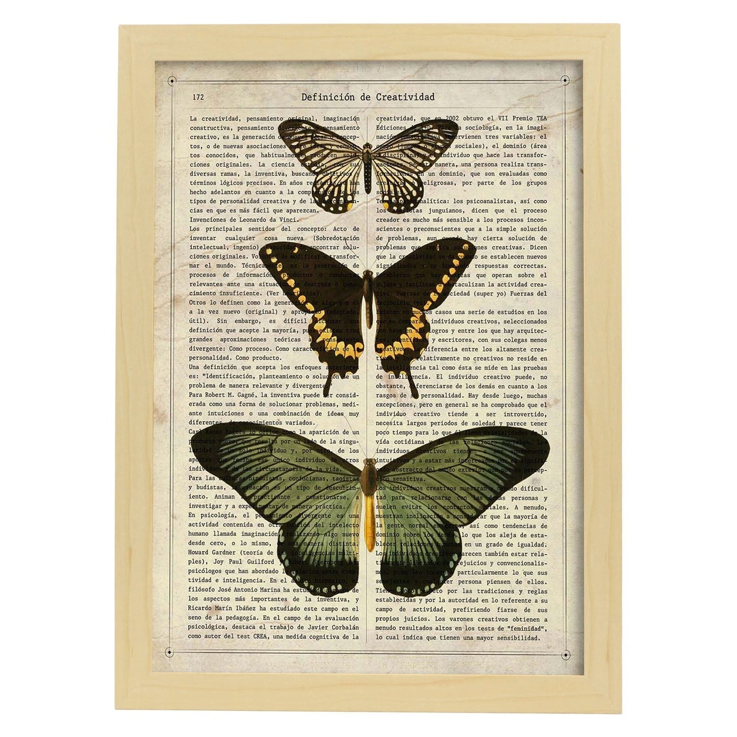 Poster de Papilio zalmoxis. Láminas de mariposas. Decoración de mariposas y polillas.-Artwork-Nacnic-A4-Marco Madera clara-Nacnic Estudio SL