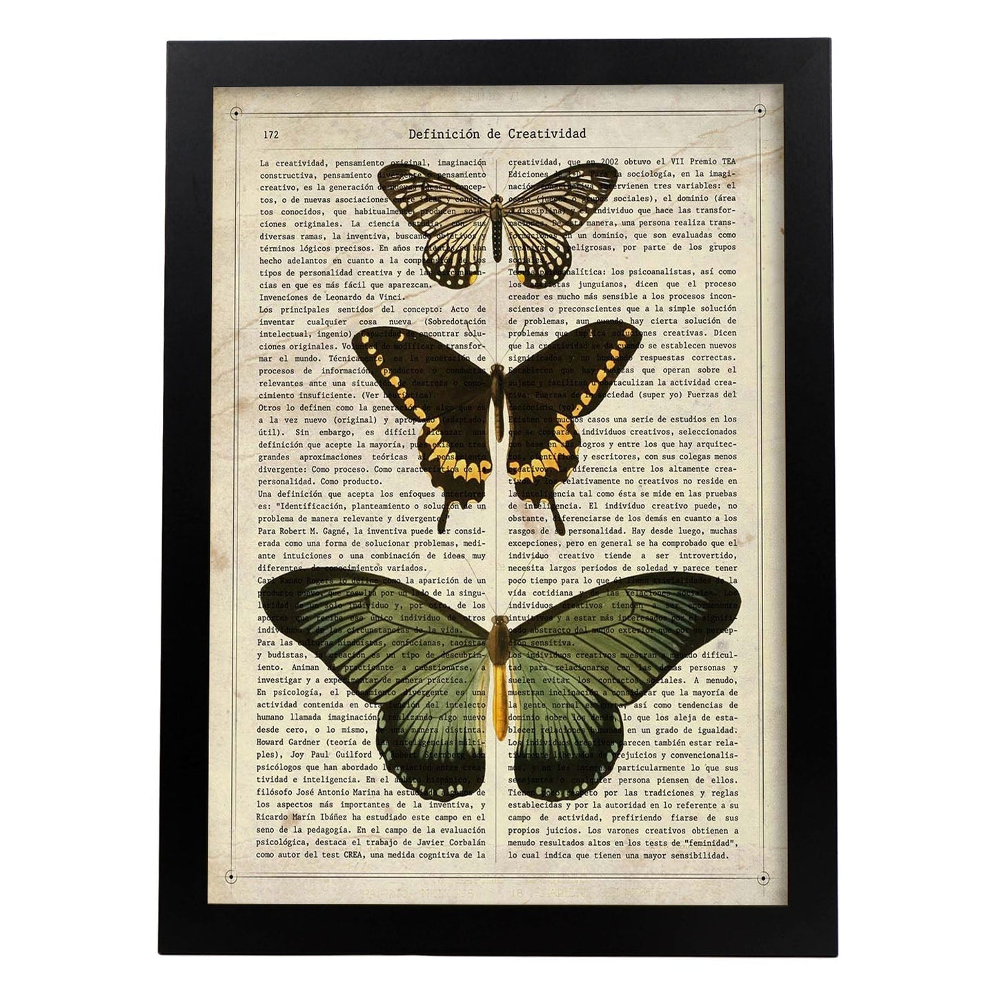 Poster de Papilio zalmoxis. Láminas de mariposas. Decoración de mariposas y polillas.-Artwork-Nacnic-A4-Marco Negro-Nacnic Estudio SL