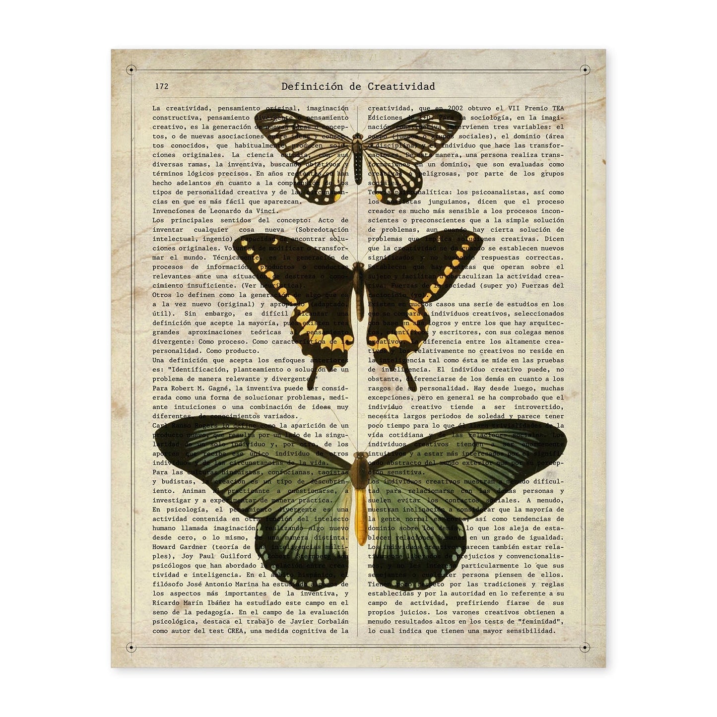 Poster de Papilio zalmoxis. Láminas de mariposas. Decoración de mariposas y polillas.-Artwork-Nacnic-A4-Sin marco-Nacnic Estudio SL